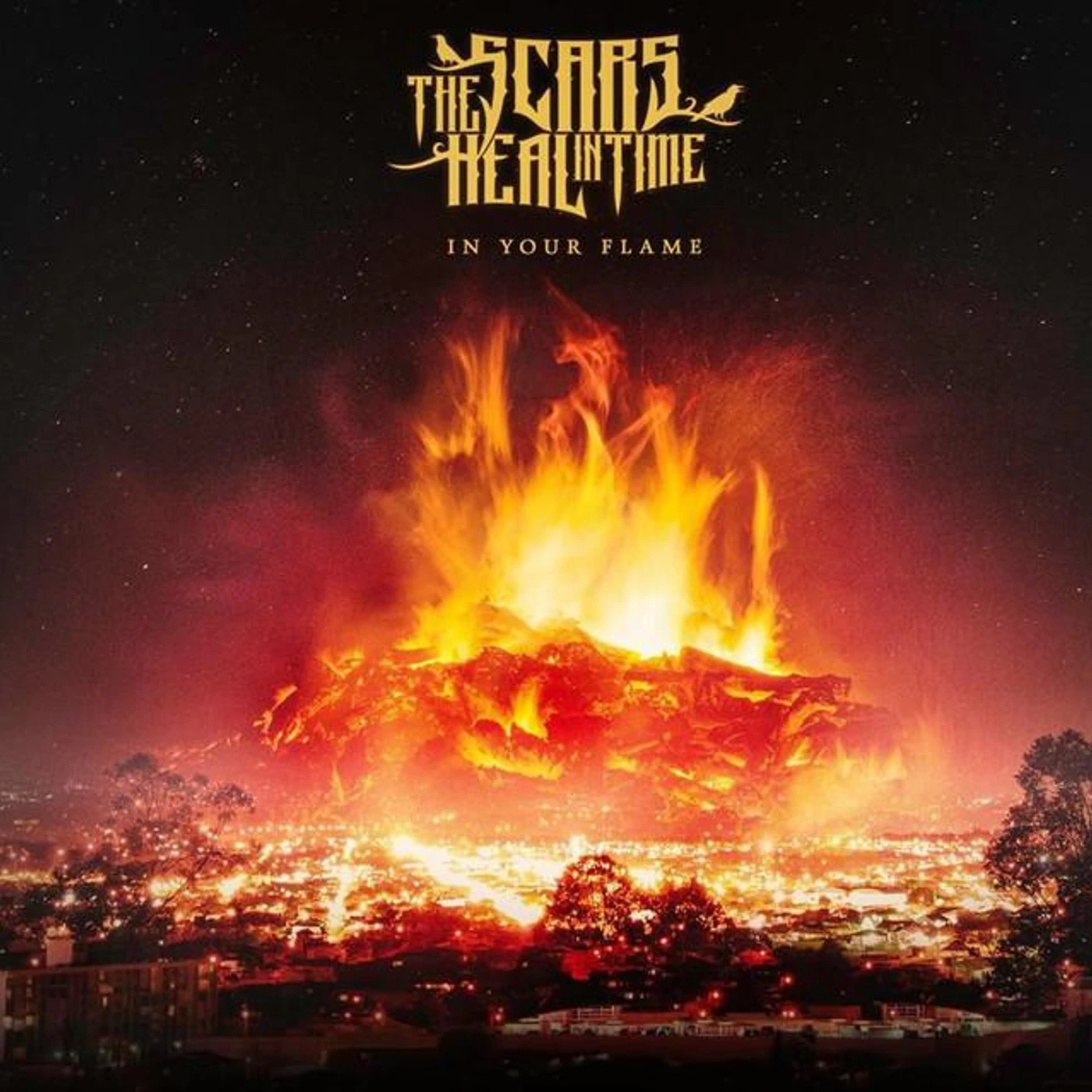 The Scars Heal in Time Brand Page