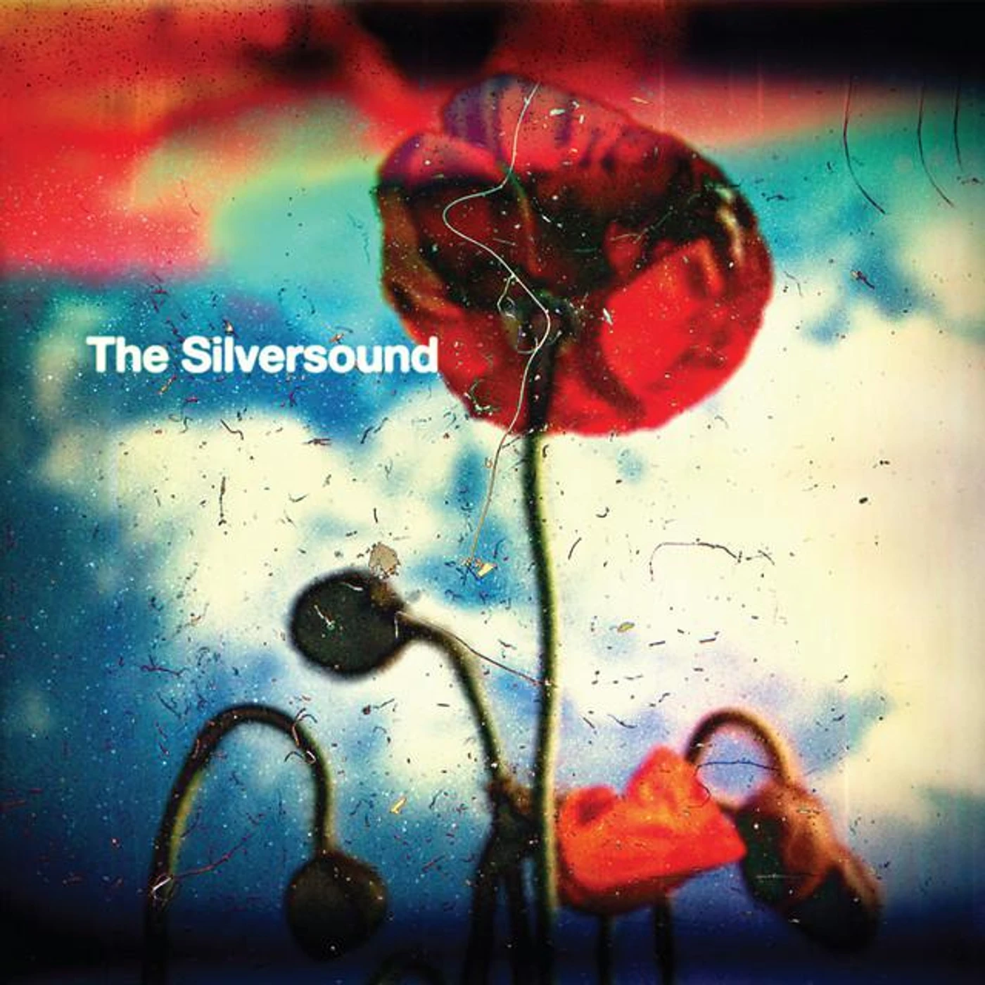 The Silversound Brand Page