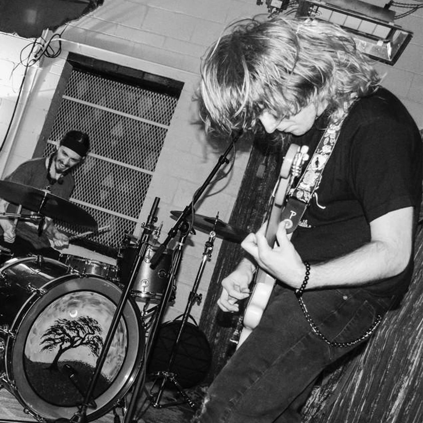 The Styrofoam Turtles Brand Page