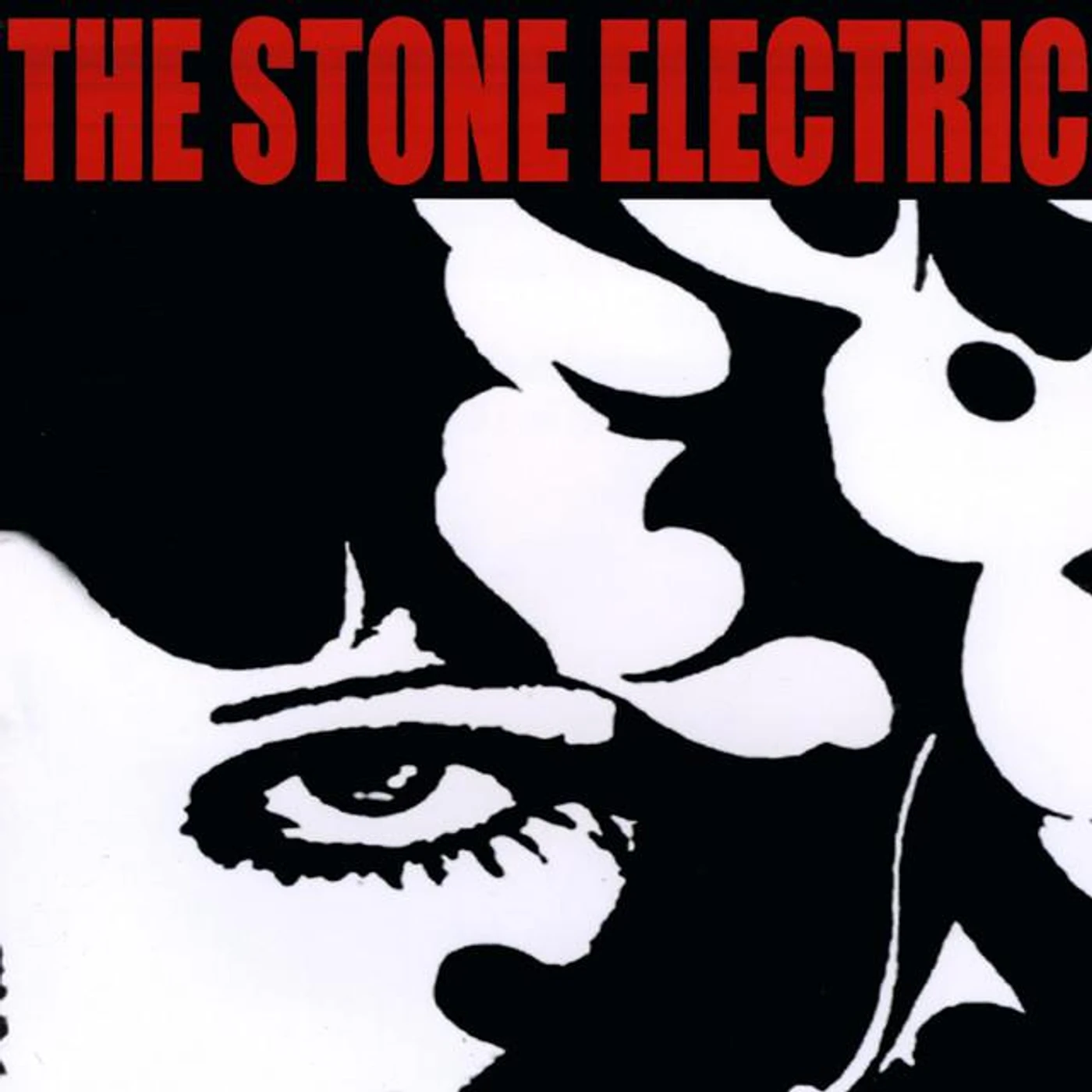 The Stone Electric Brand Page