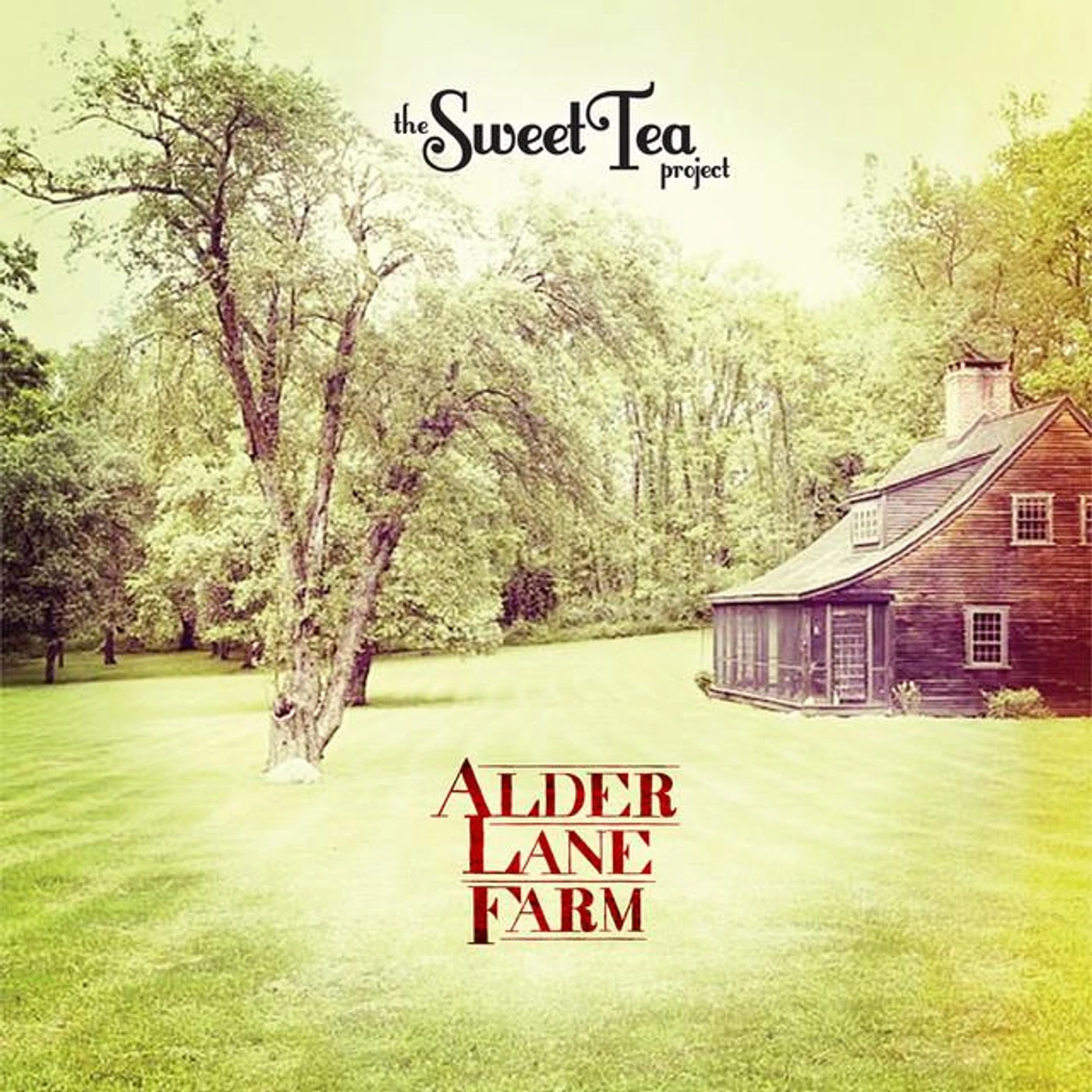 The Sweet Tea Project Brand Page