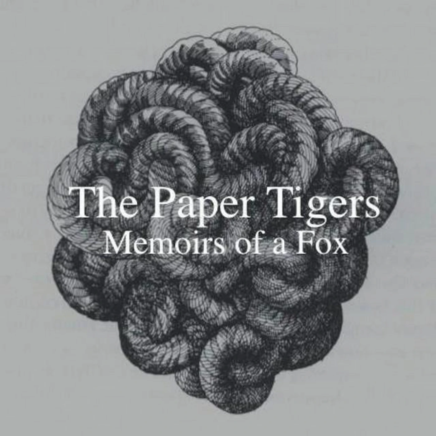 The Paper Tigers Brand Page