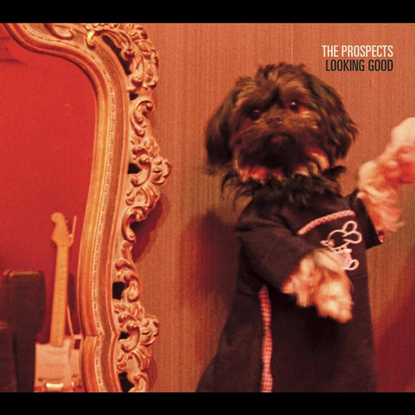 The Prospects Brand Page