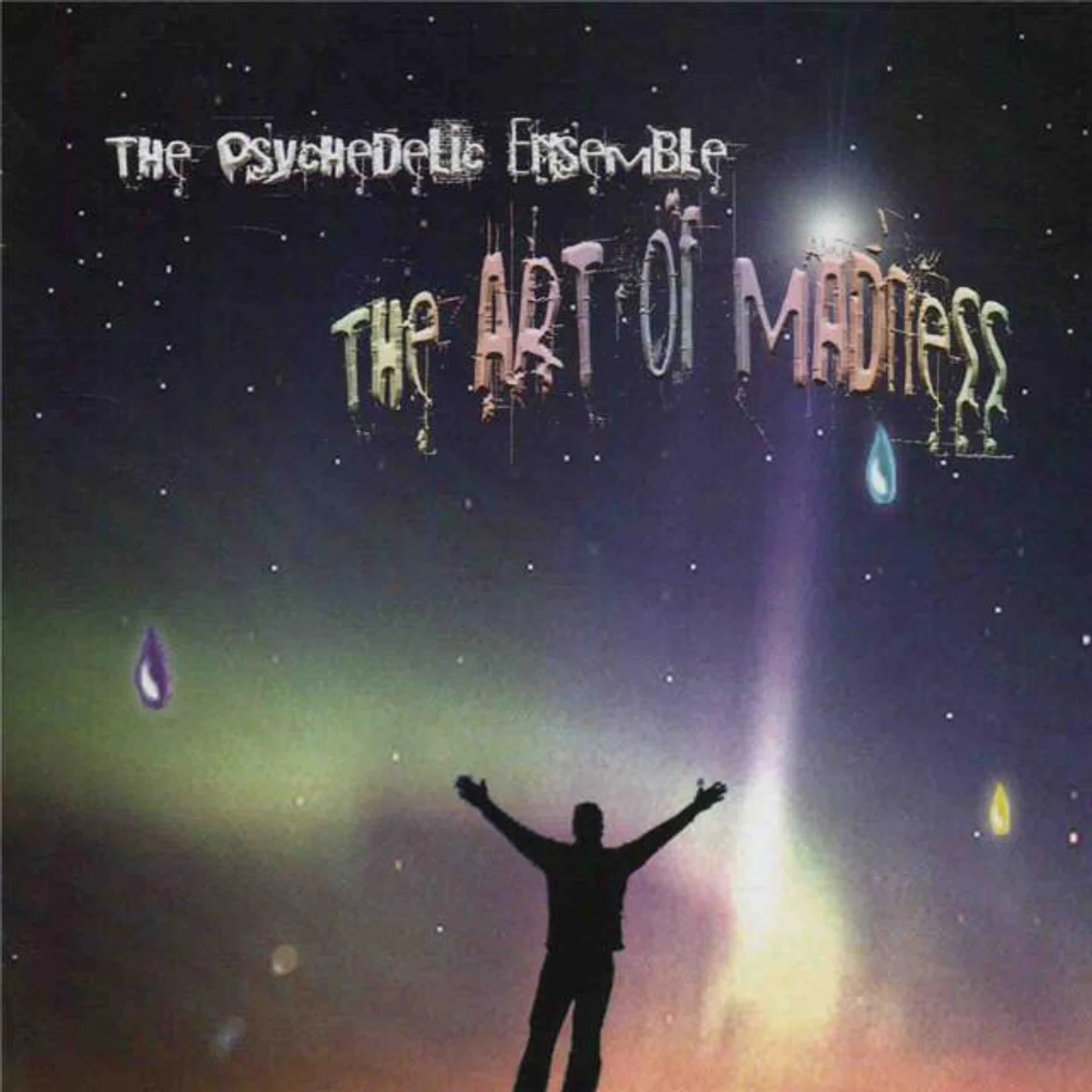 The Psychedelic Ensemble