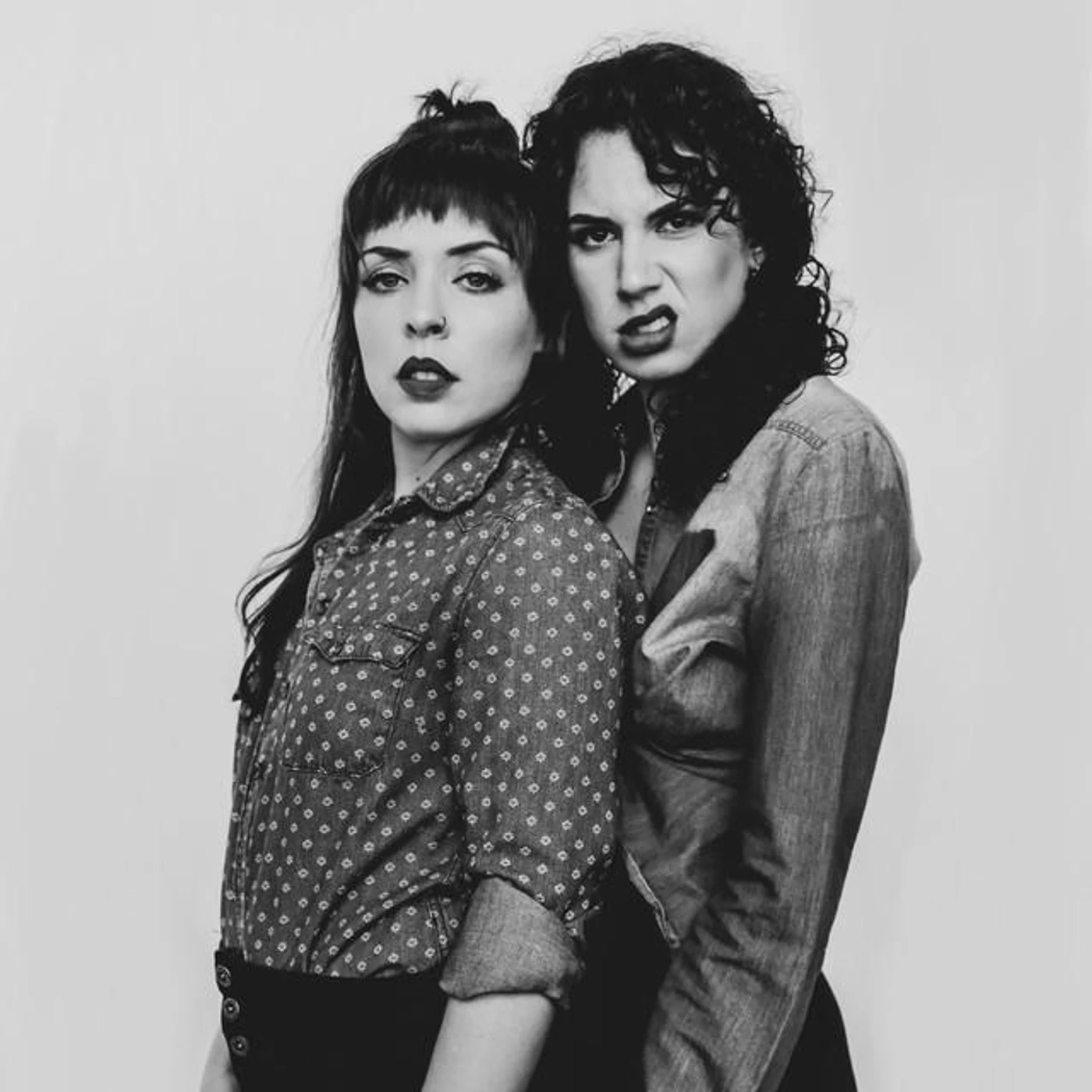 The Pussywillows