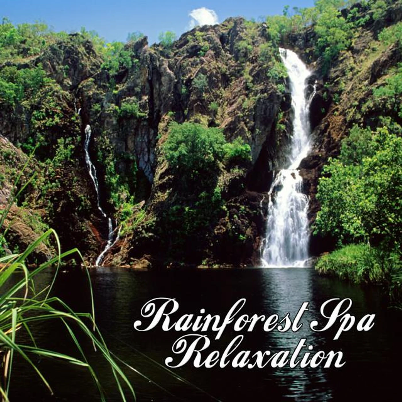 The Rainforest Spa Players