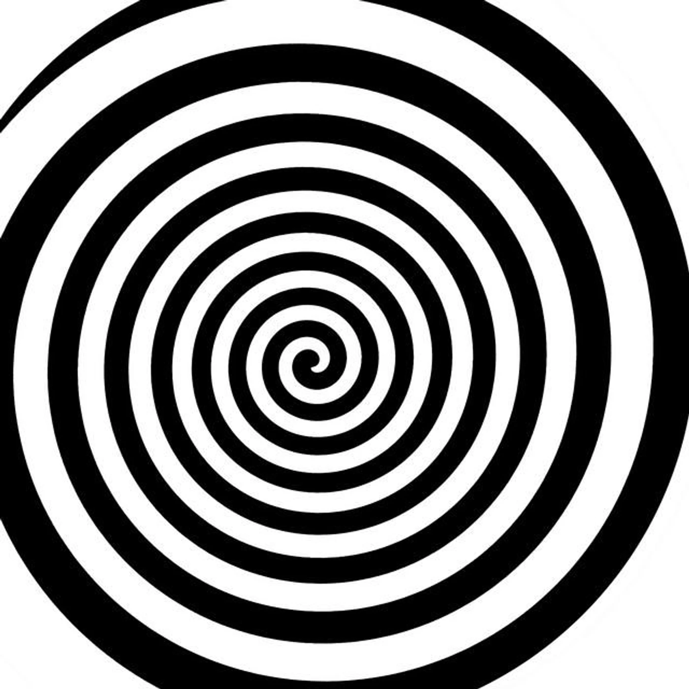 The Rex Granite Band Brand Page