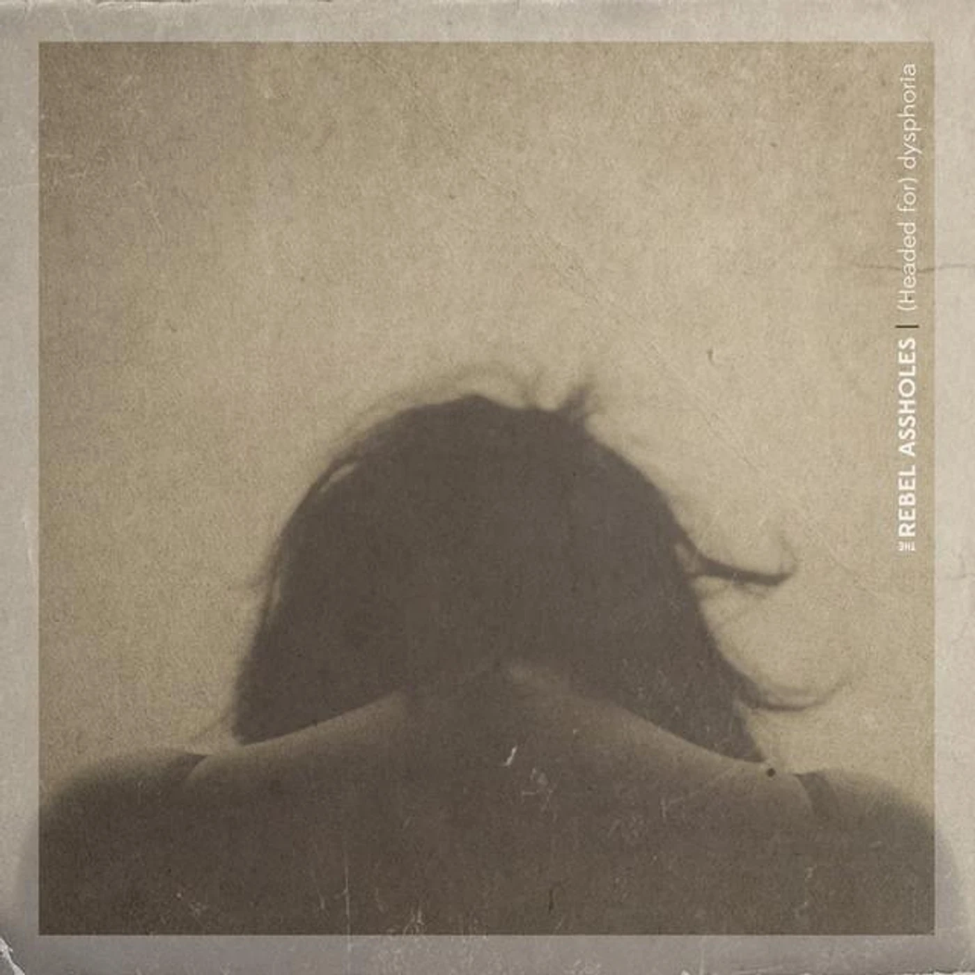 The Rebel Assholes Brand Page