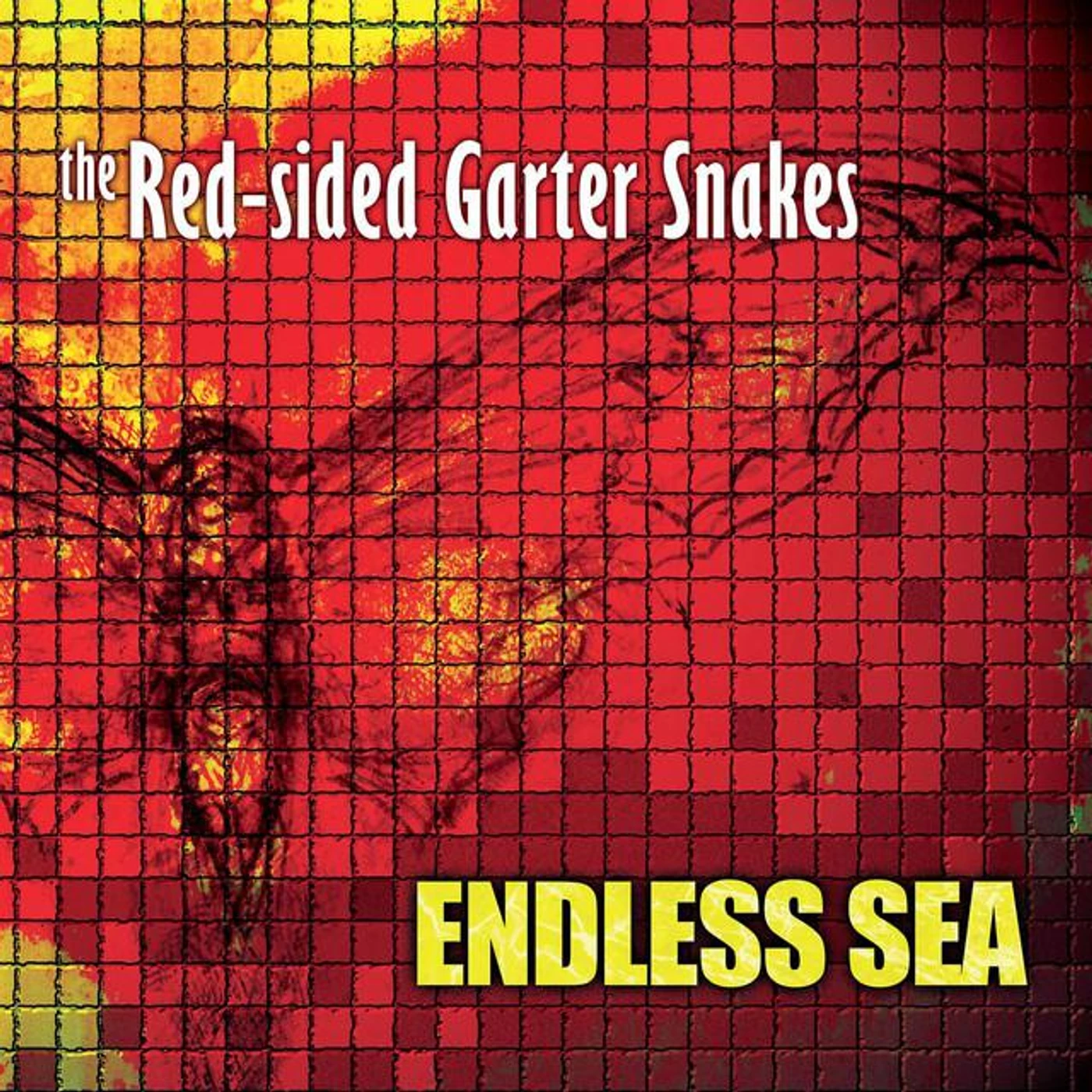 The Red-Sided Garter Snakes Brand Page