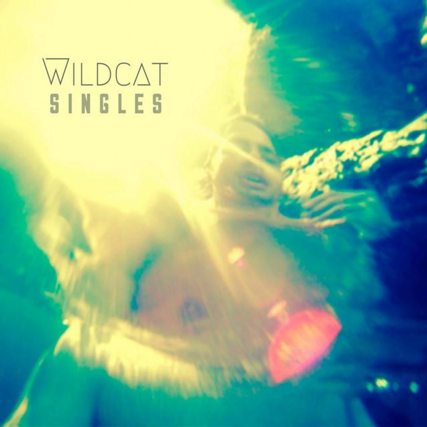 The Wildcat