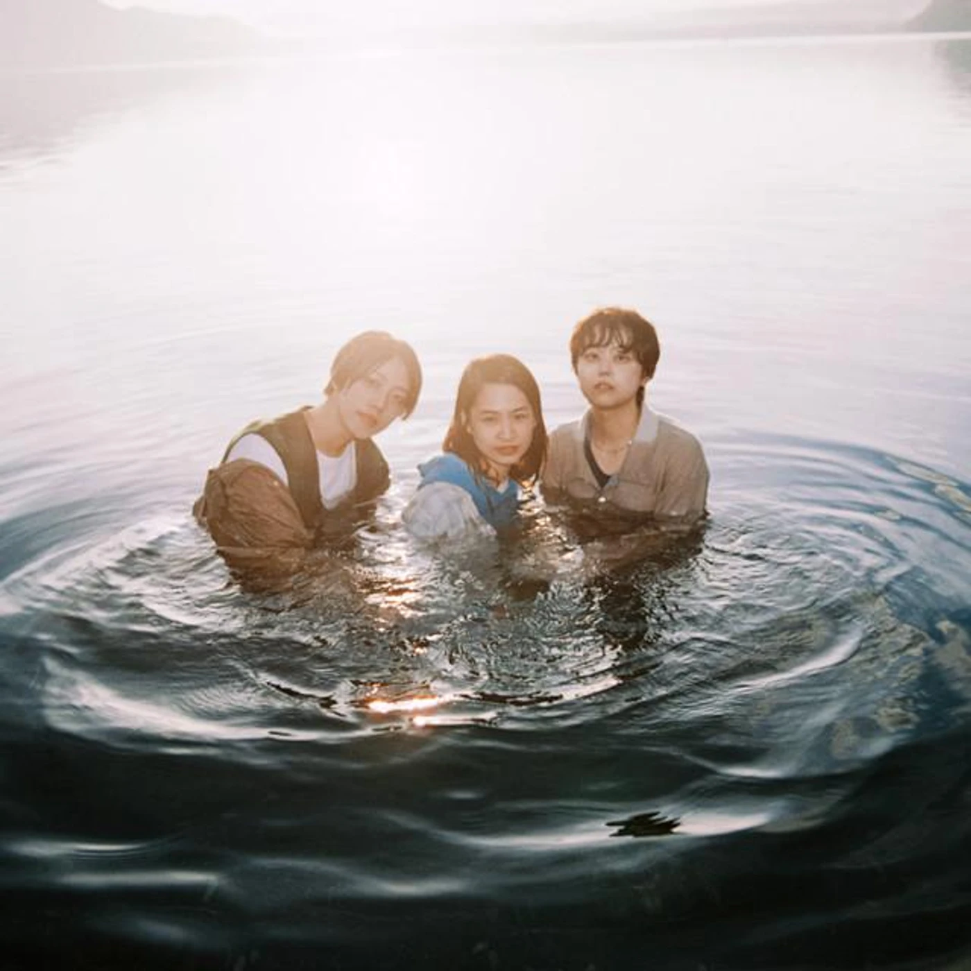 The Wisely Brothers Brand Page