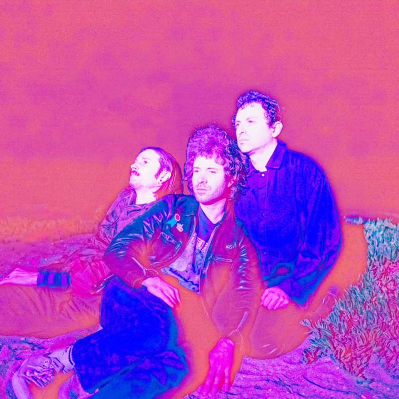 The Technicolors Brand Page