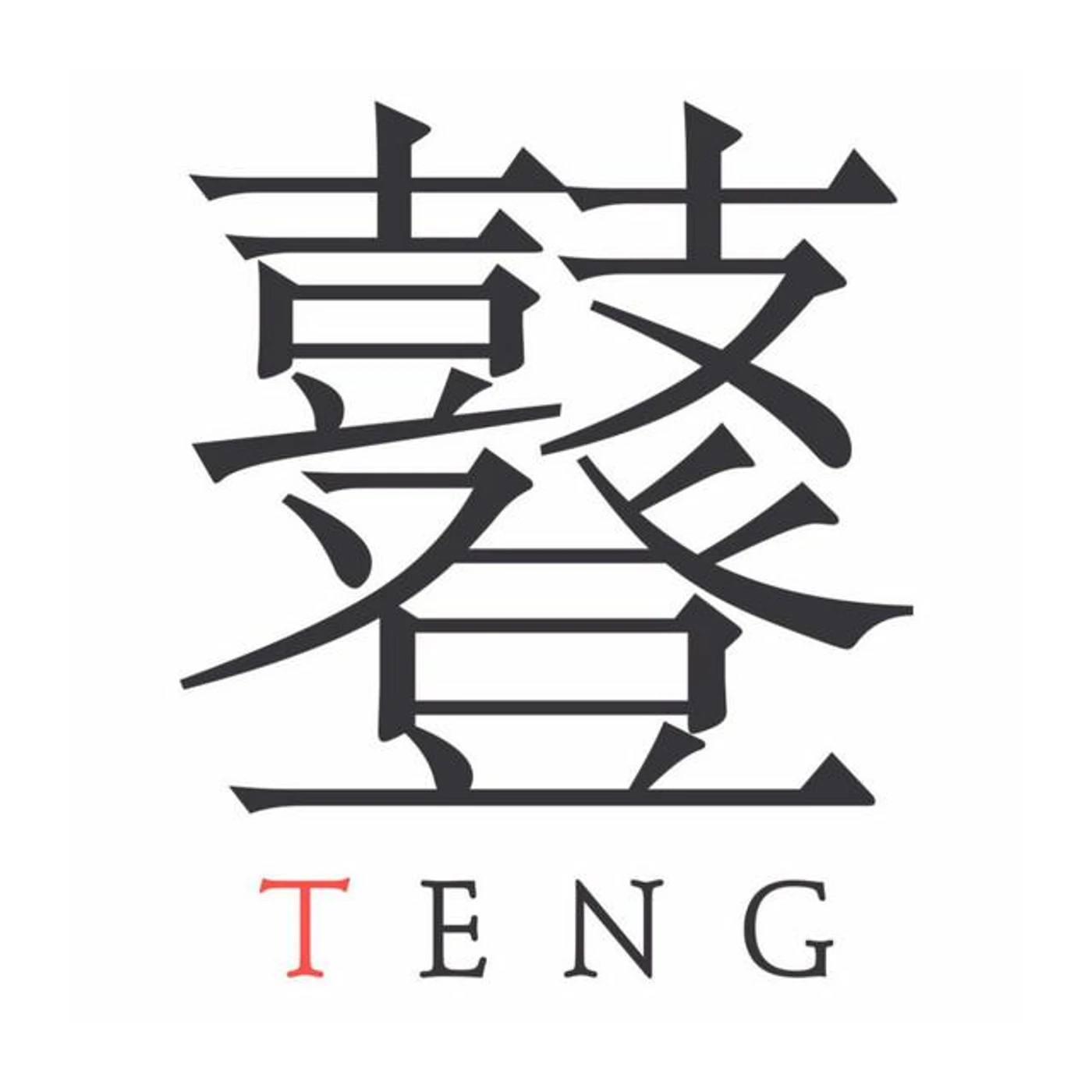 The TENG Ensemble Brand Page
