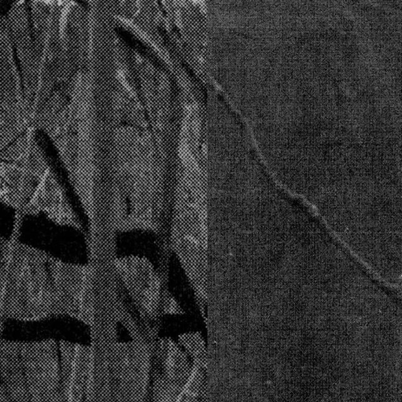 The Tines Brand Page