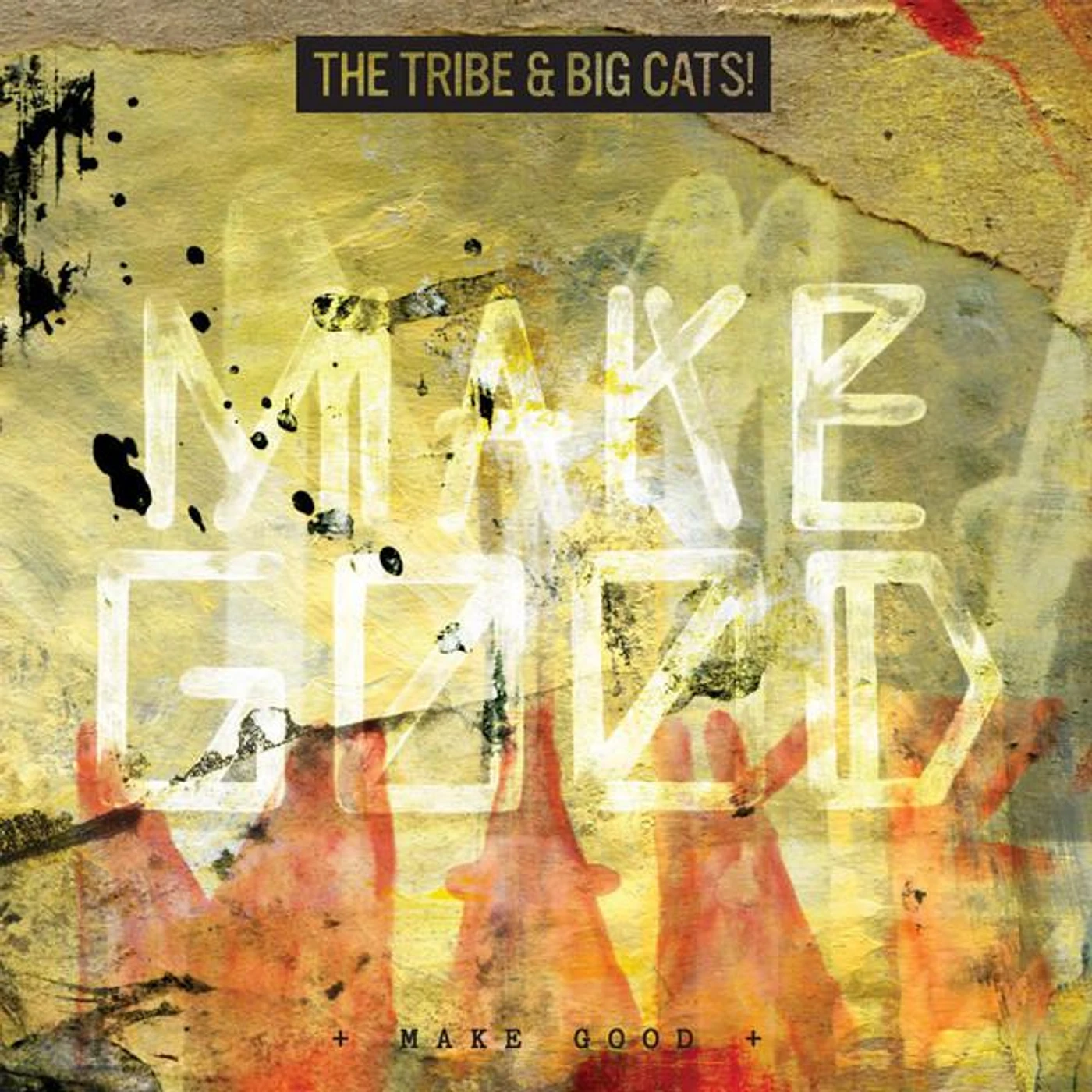 The Tribe & Big Cats!