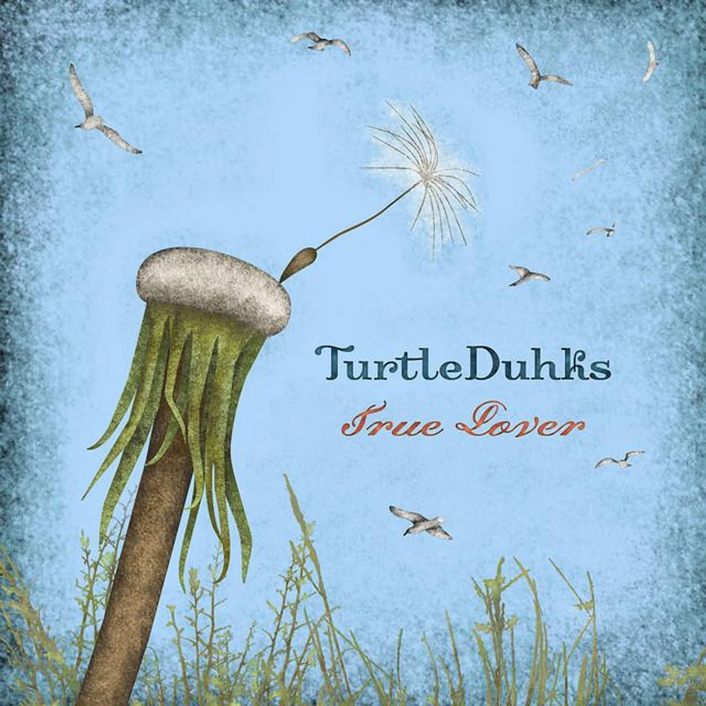 The TurtleDuhks