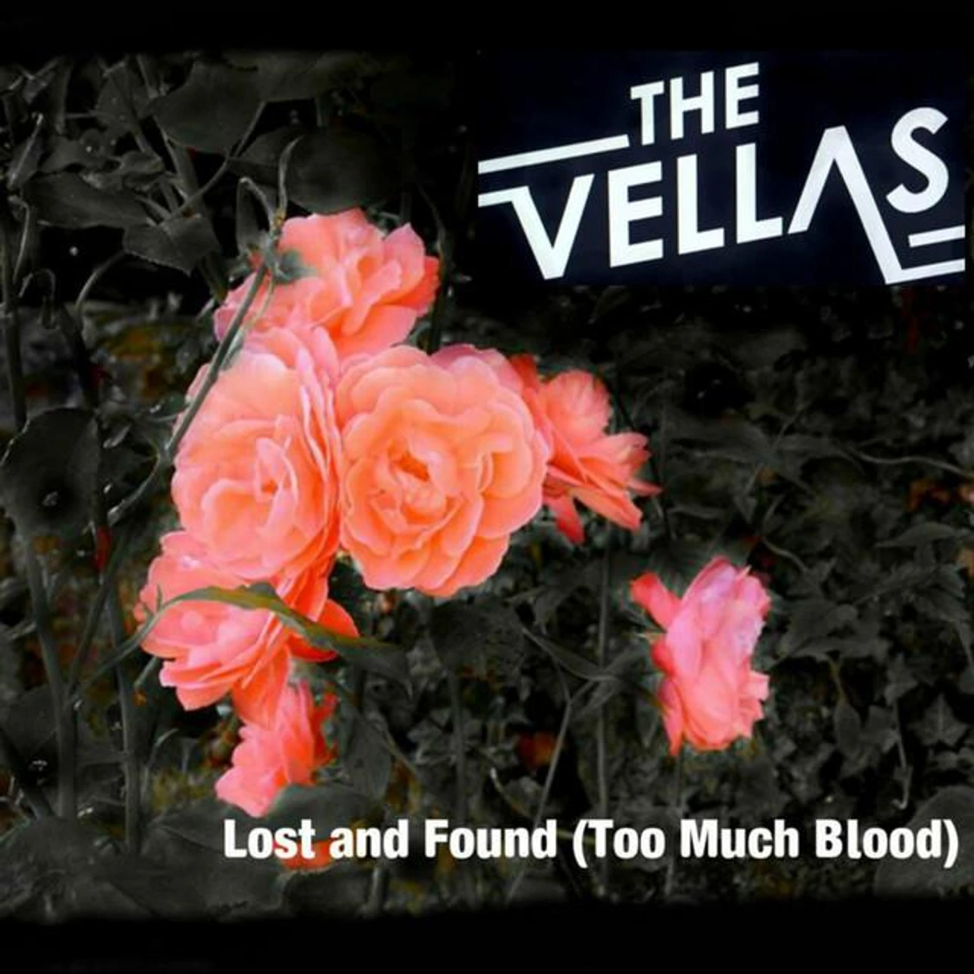 The Vellas