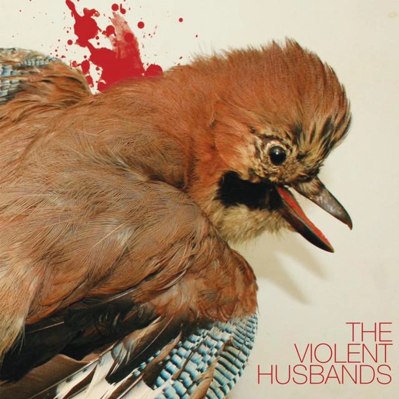 The Violent Husbands Brand Page