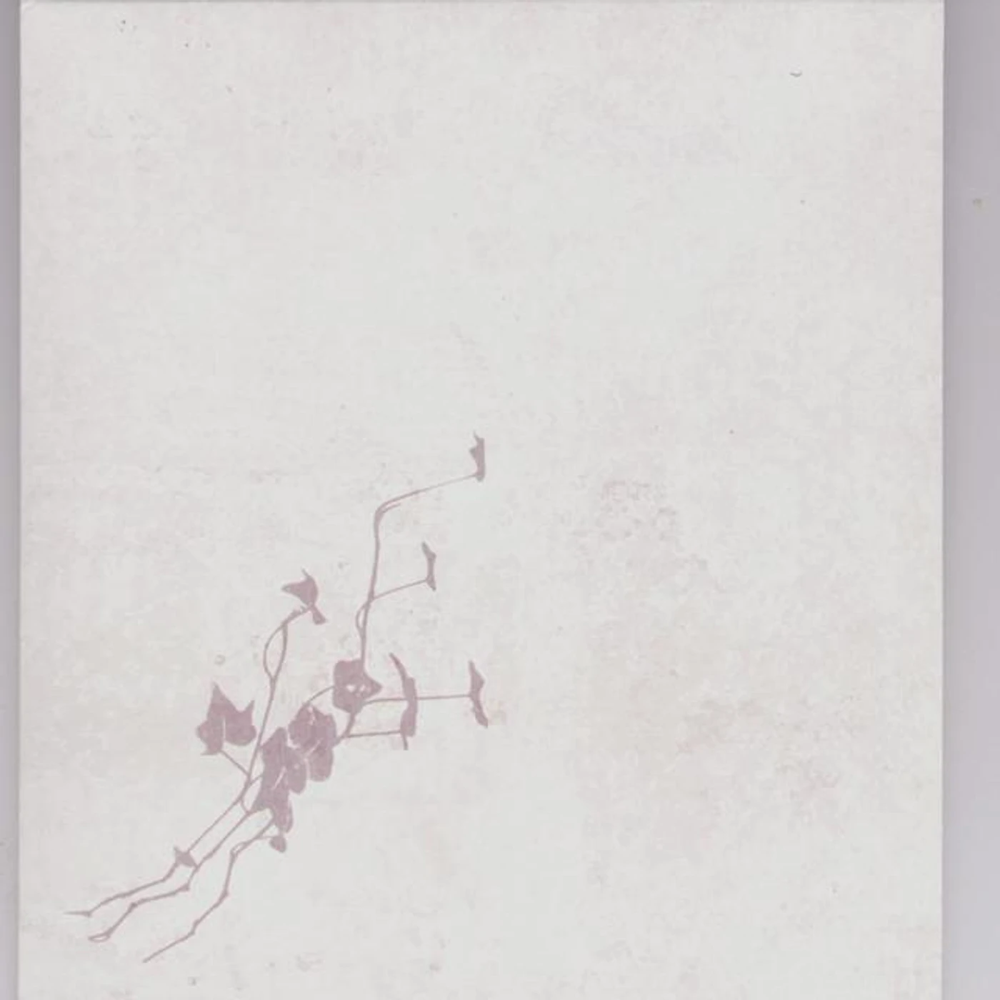 This is a Process of a Still Life Brand Page
