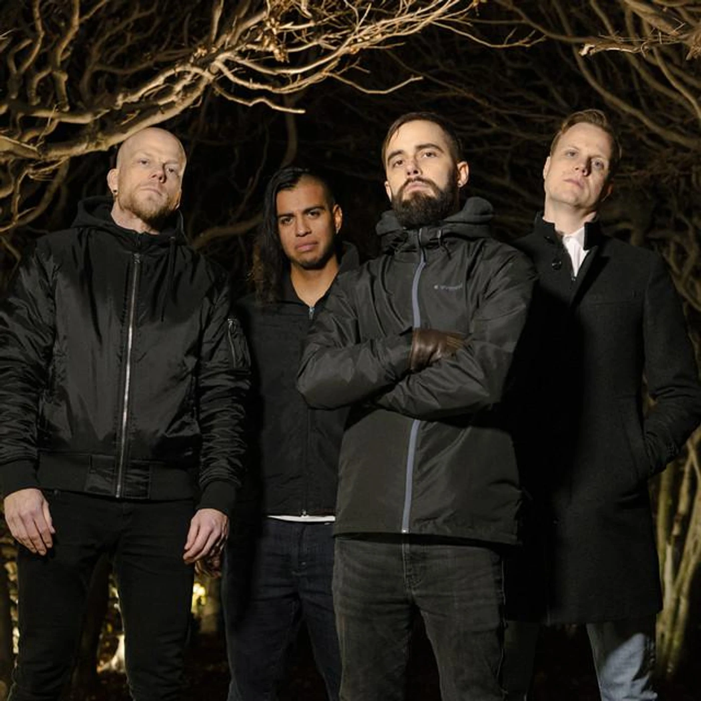 Through The Noise Brand Page