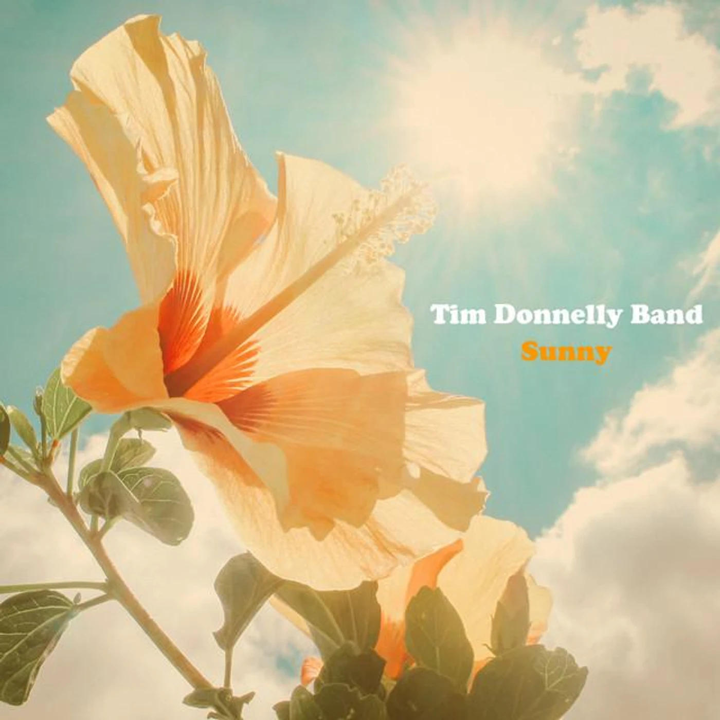 Tim Donnelly Band Brand Page