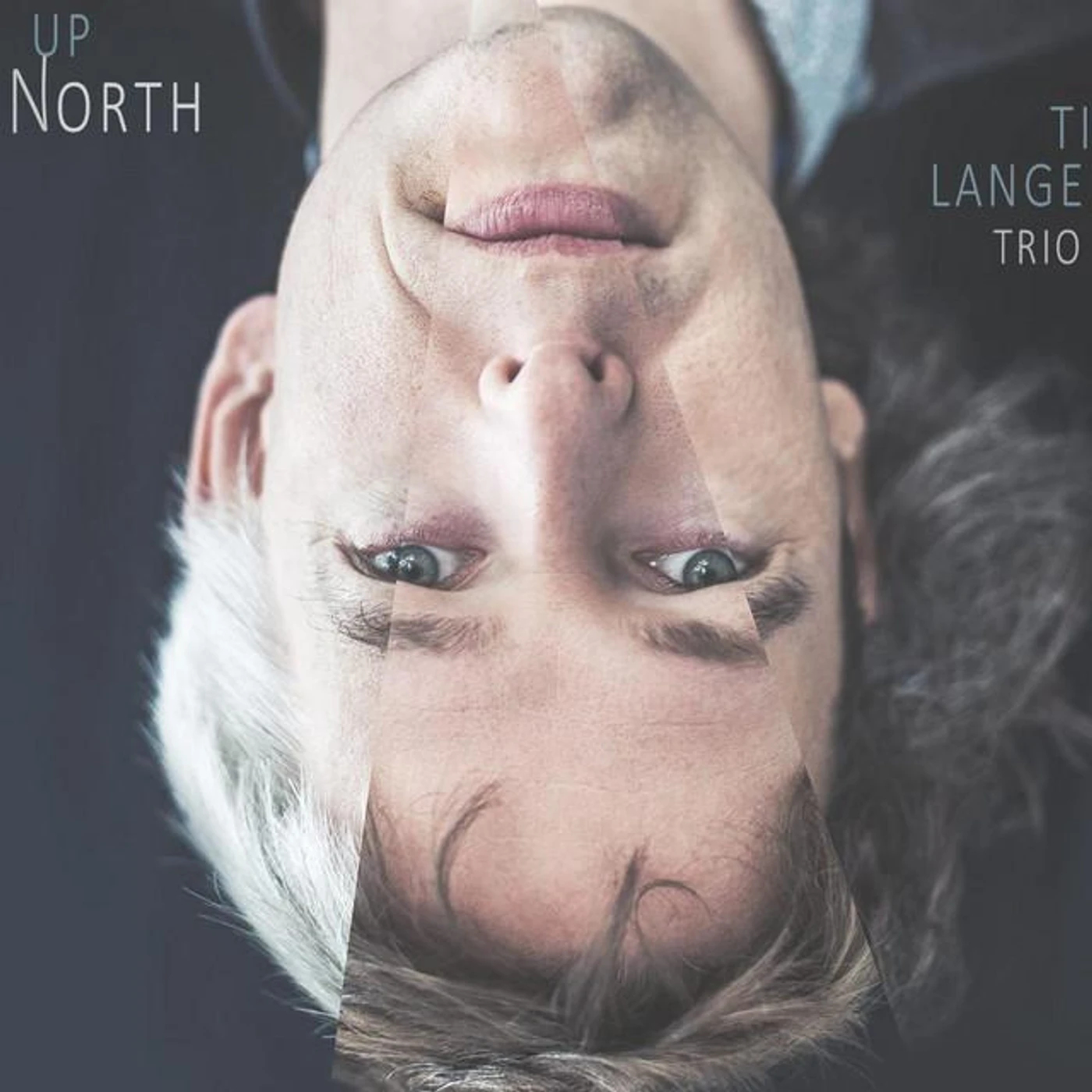 Tim Langedijk Trio Brand Page