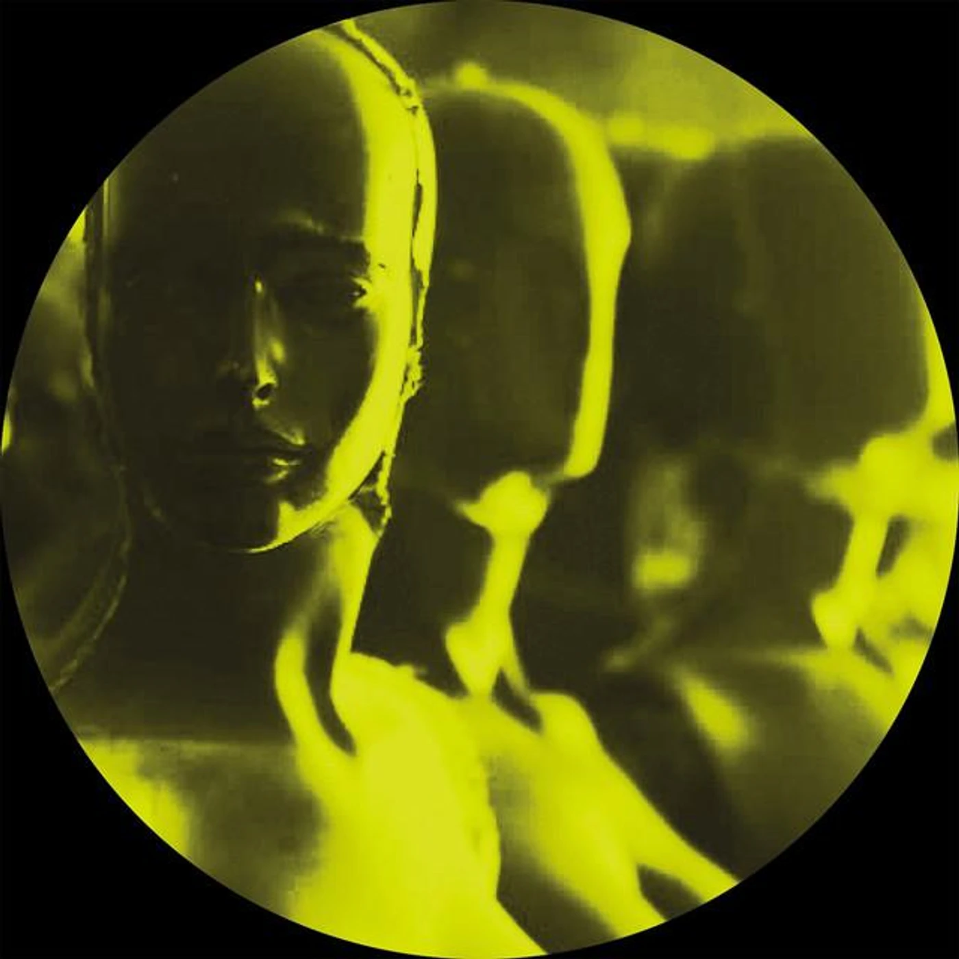 Tim Taylor Brand Page