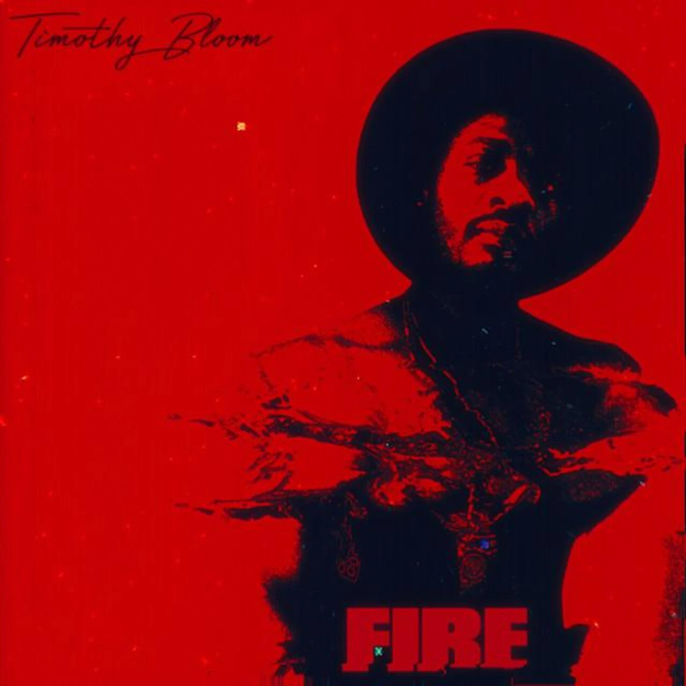 Timothy Bloom Brand Page