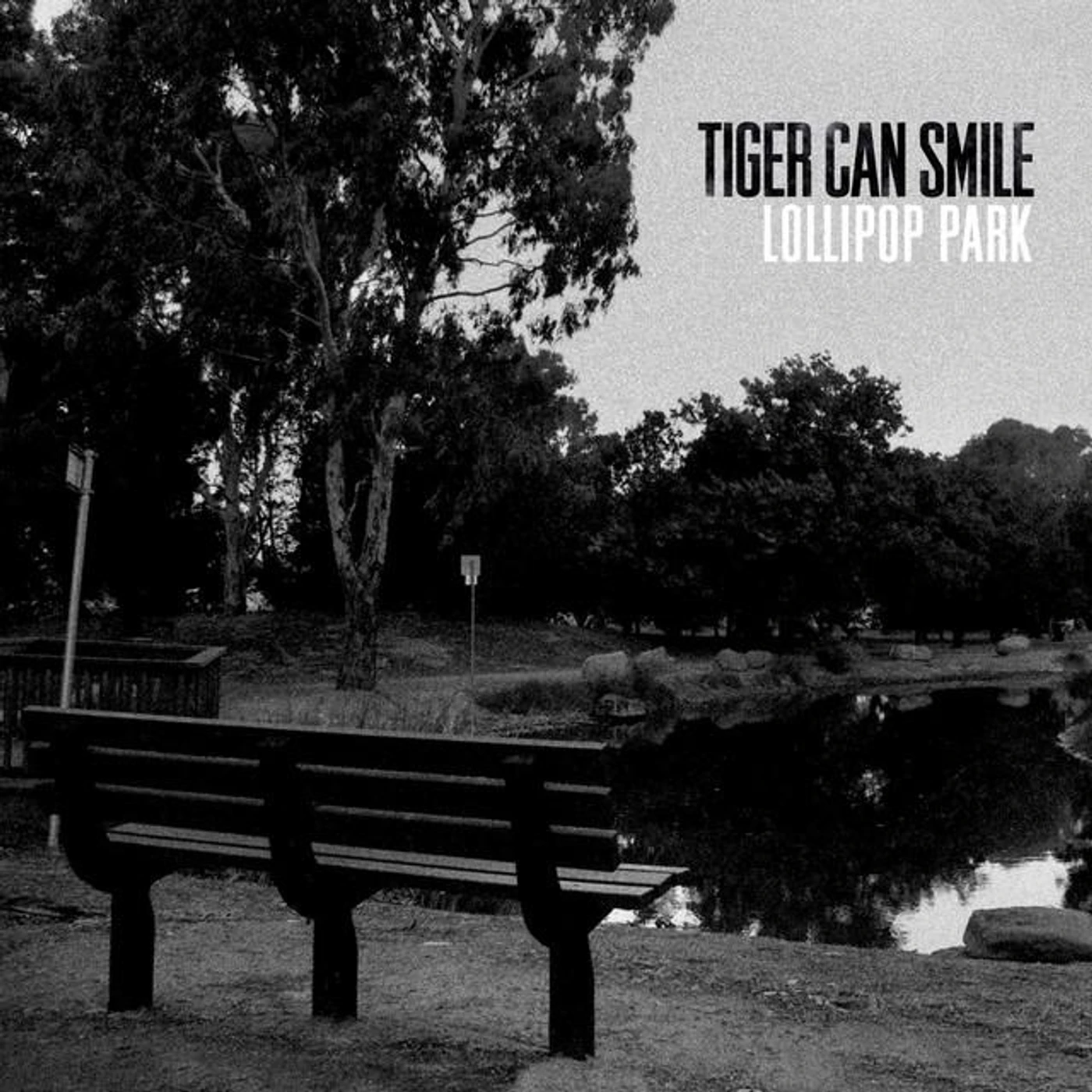 Tiger Can Smile