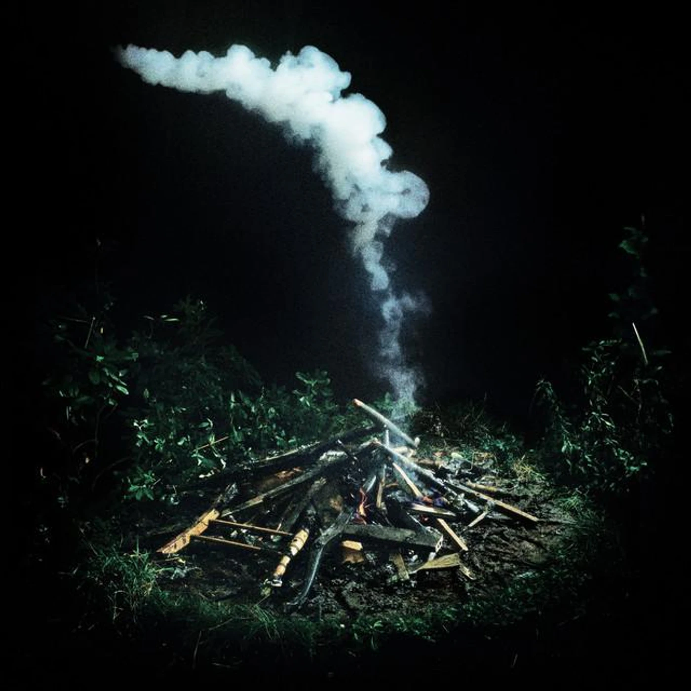 Tom Kelly Brand Page