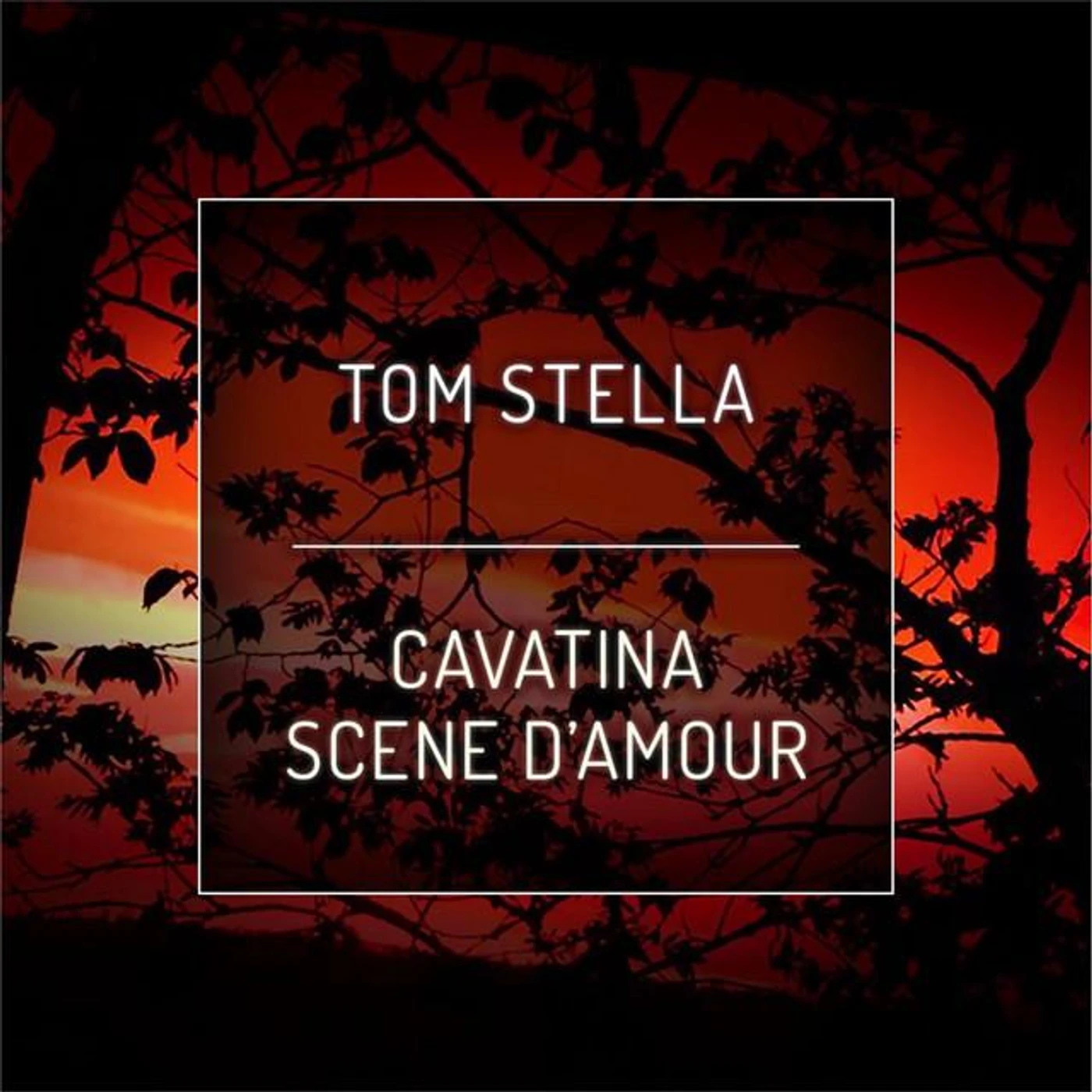 Tom Stella