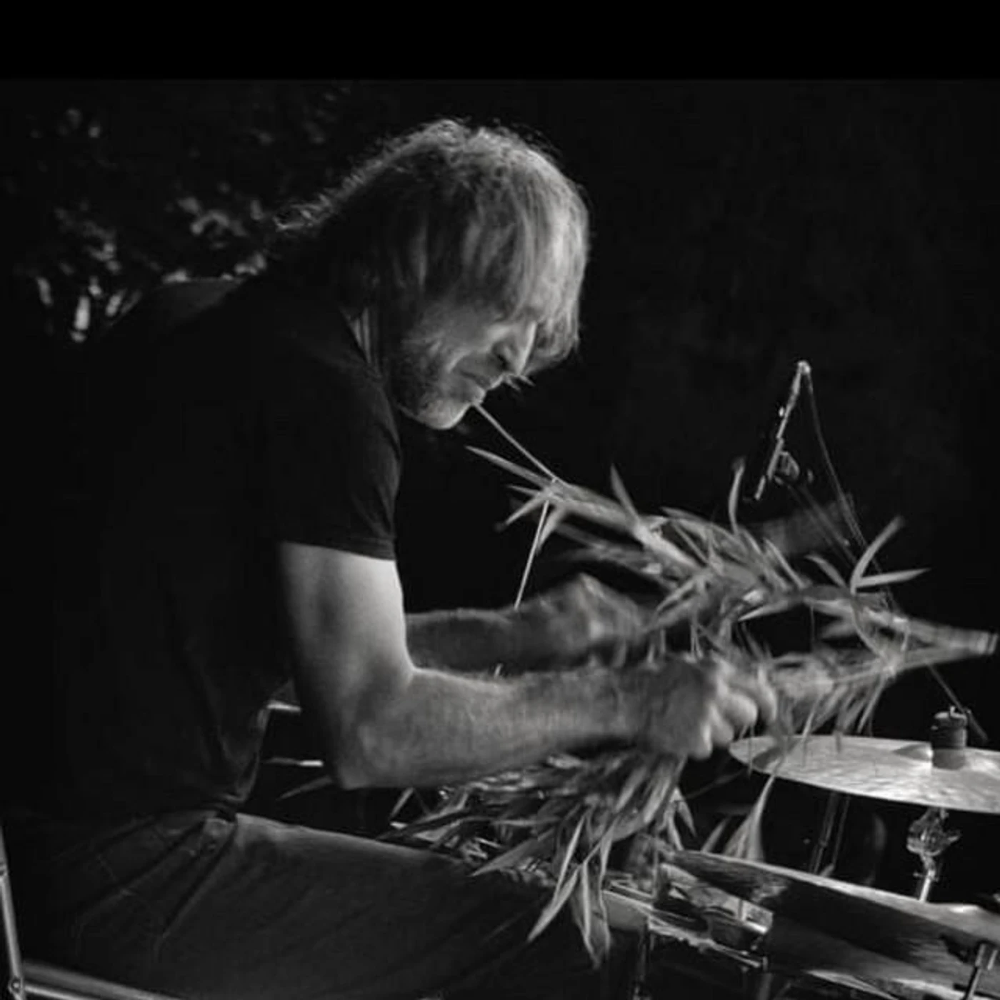 Toma Gouband Brand Page