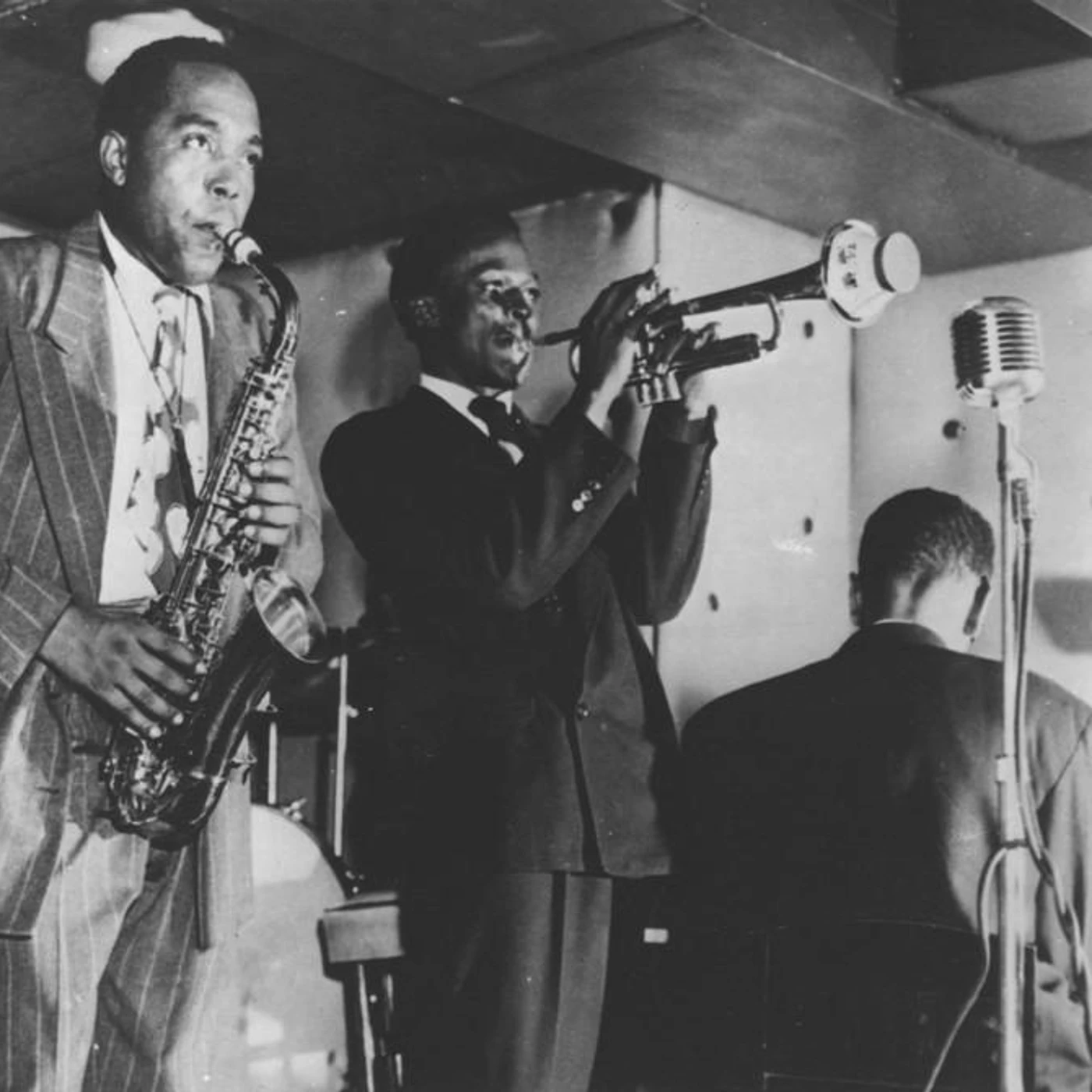 Tommy Potter Brand Page