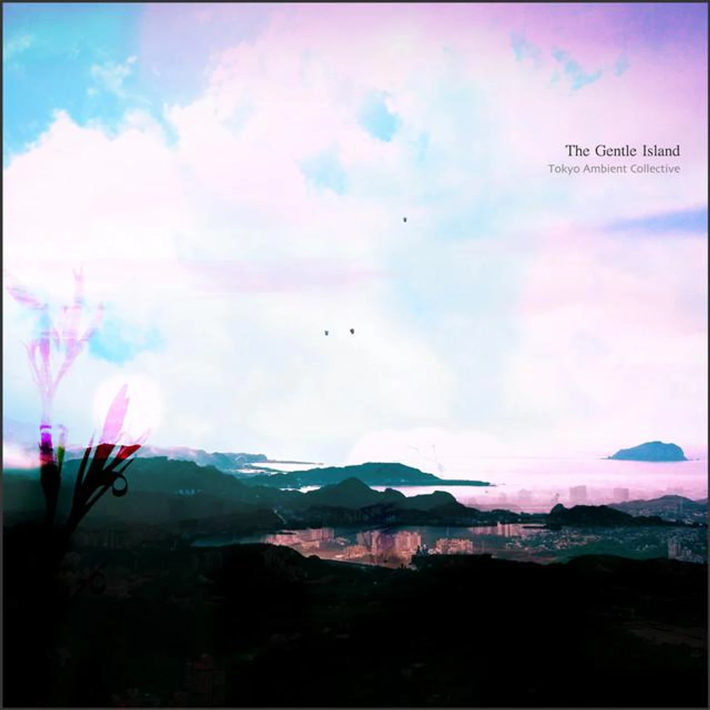 Tokyo Ambient Collective Brand Page