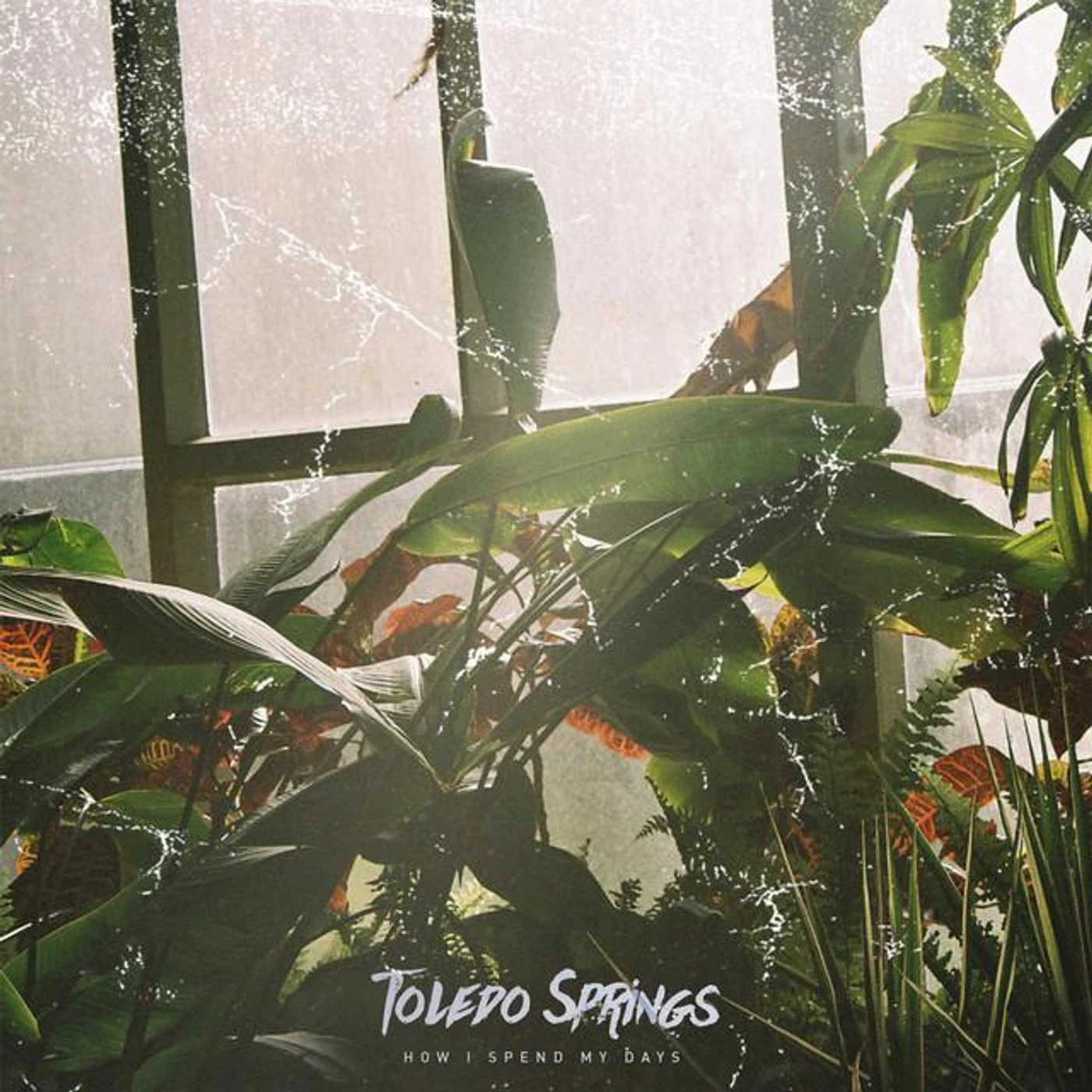 Toledo Springs