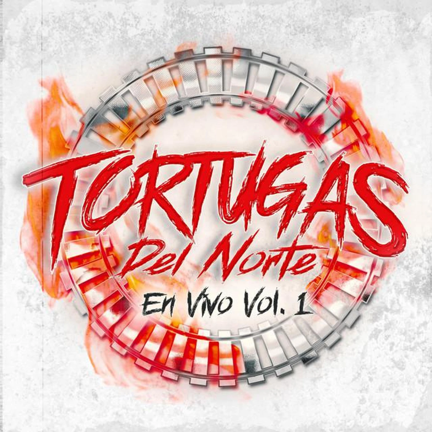 Tortugas del norte