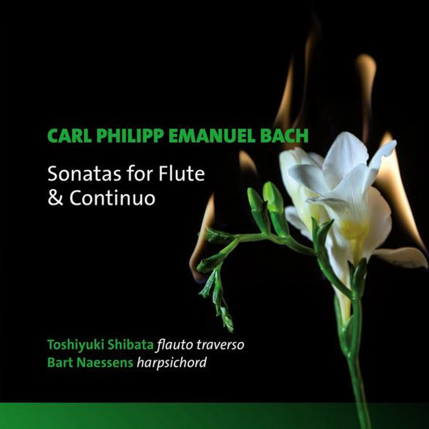 Toshiyuki Shibata Brand Page