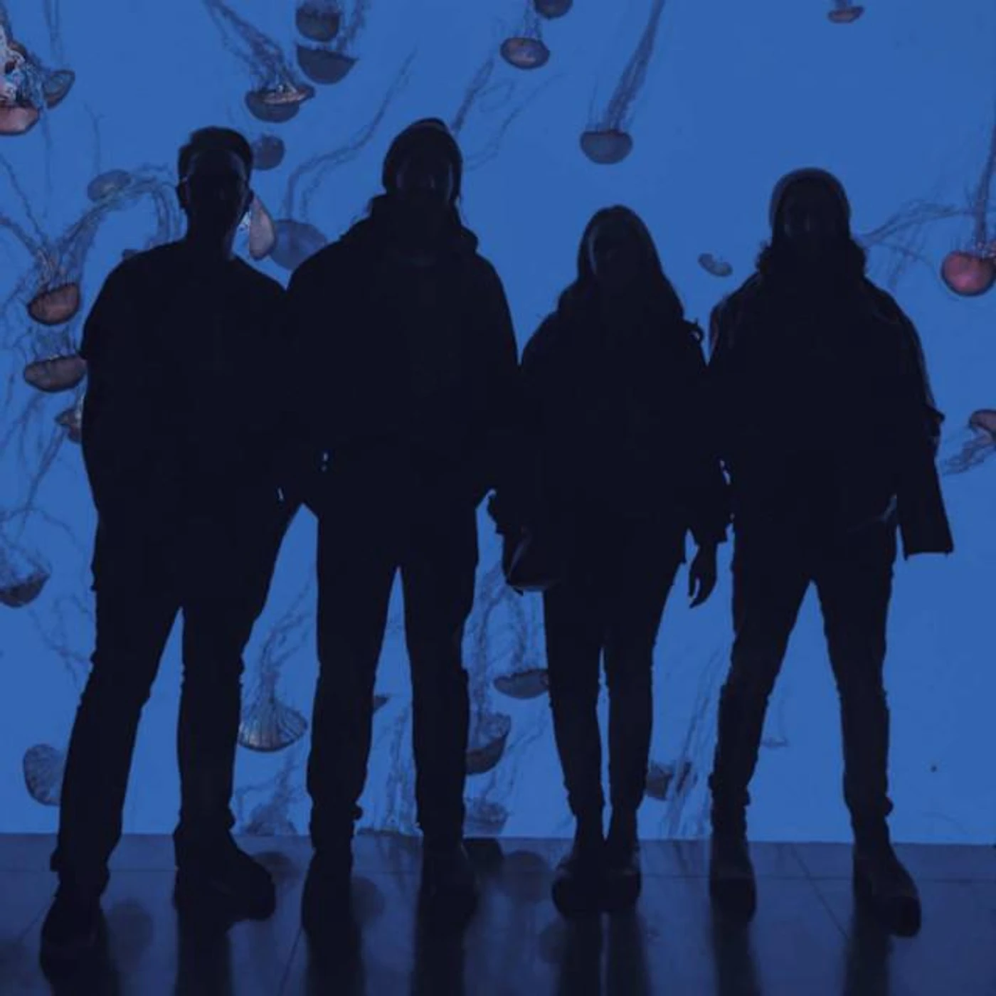 Town House Brand Page