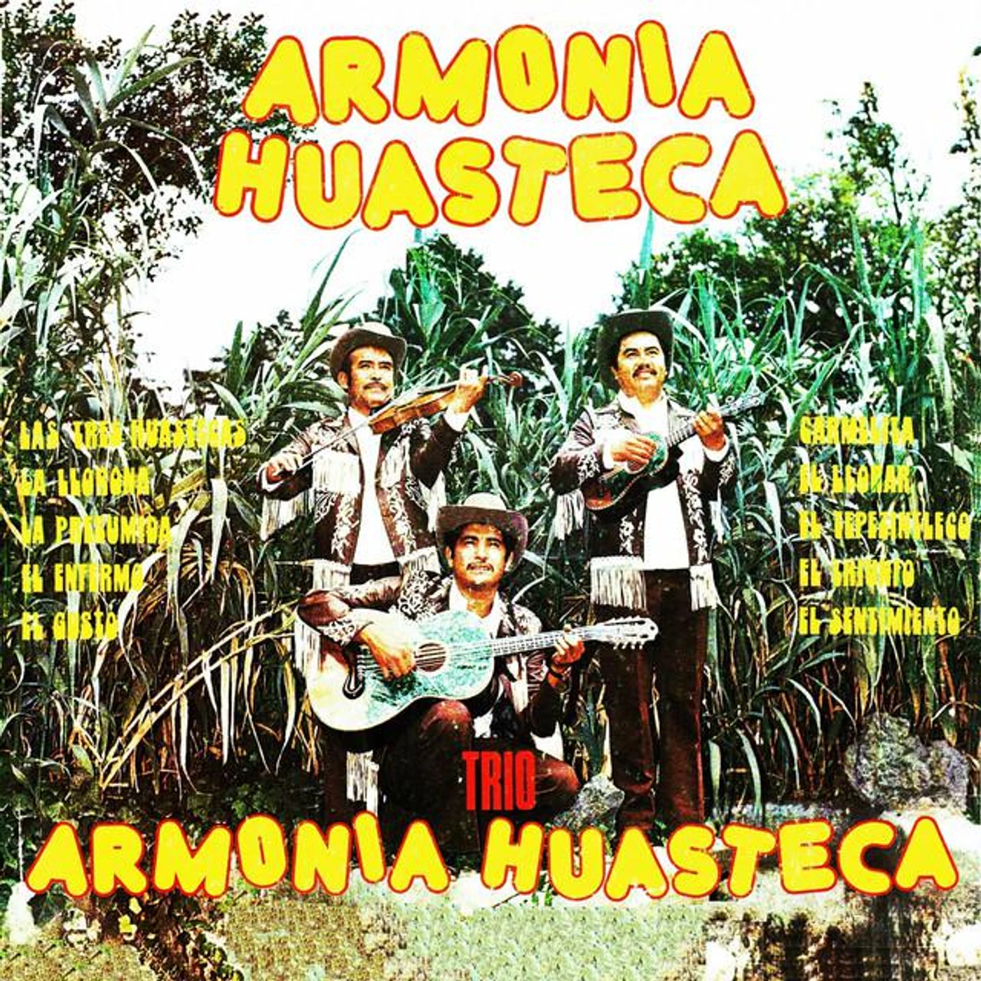 Trío Armonía Huasteca