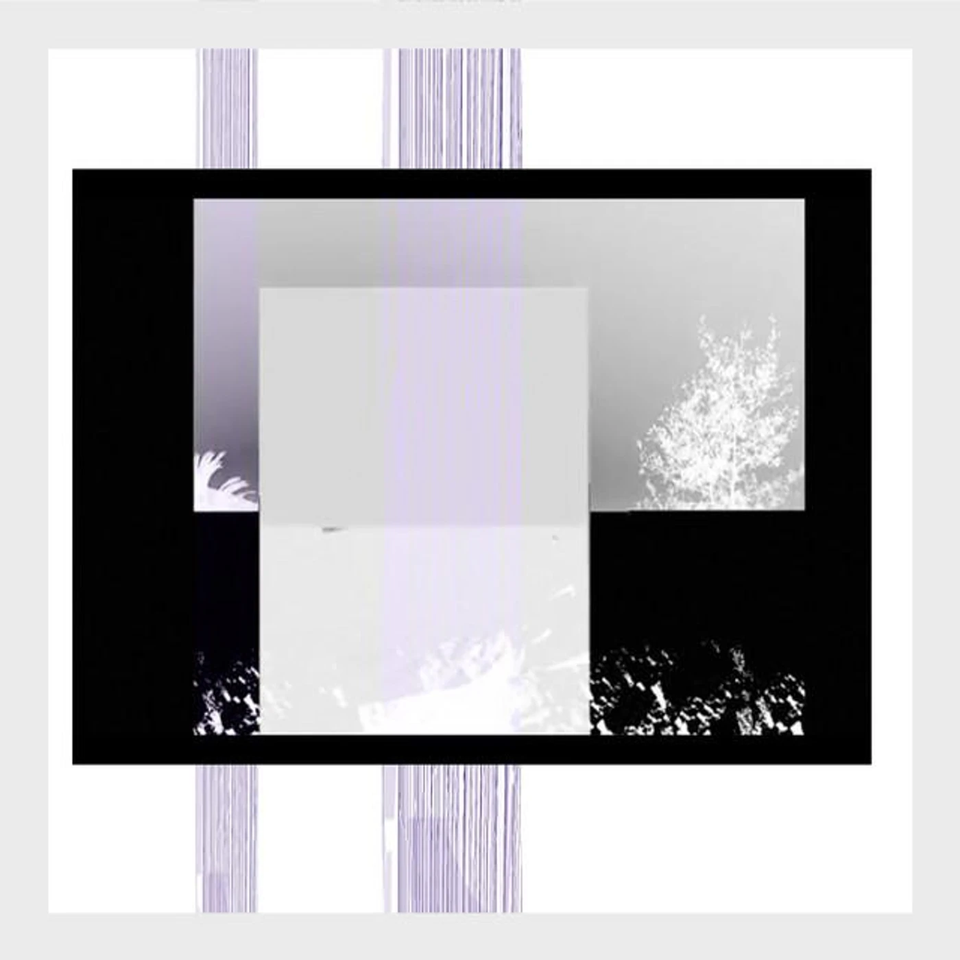 Travis Trevisan Brand Page