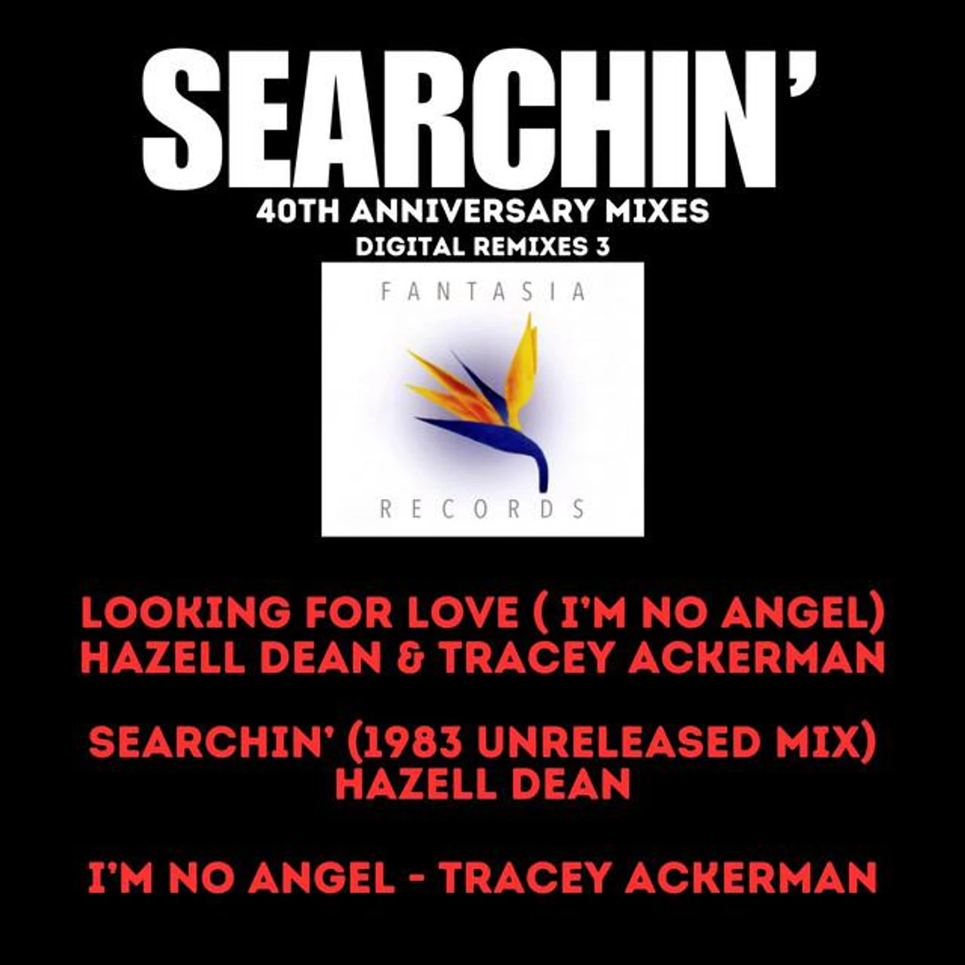 Tracy Ackerman Brand Page