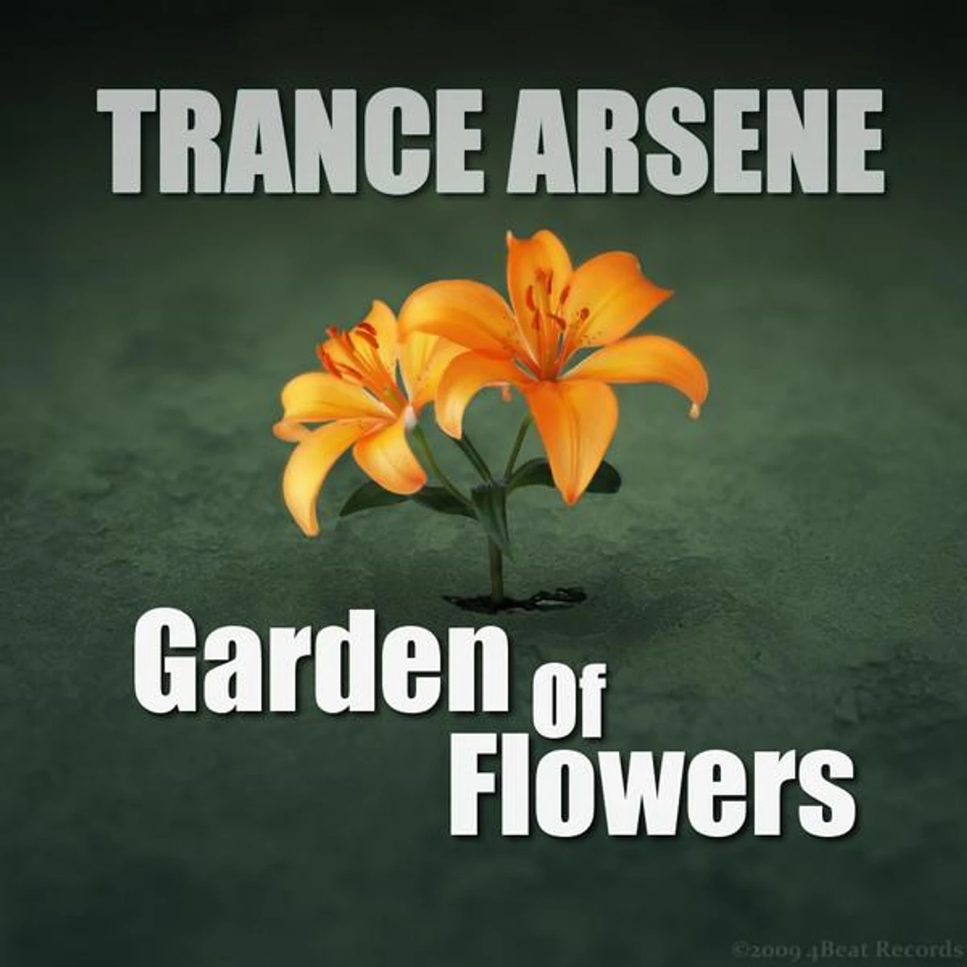 Trance Arsene Brand Page