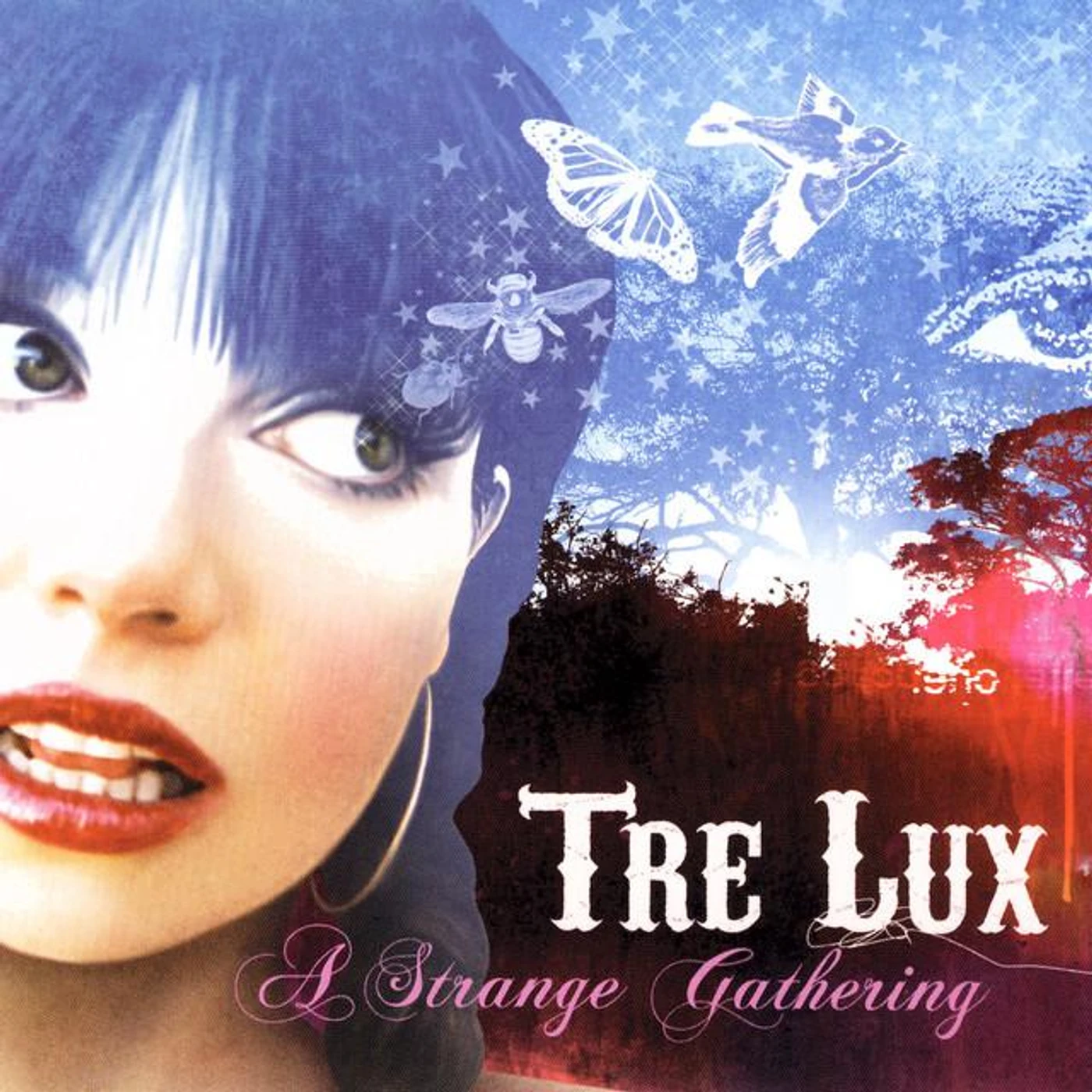 Tre Lux Brand Page