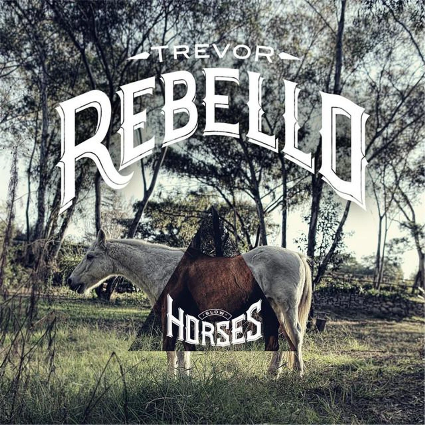 Trevor Rebello