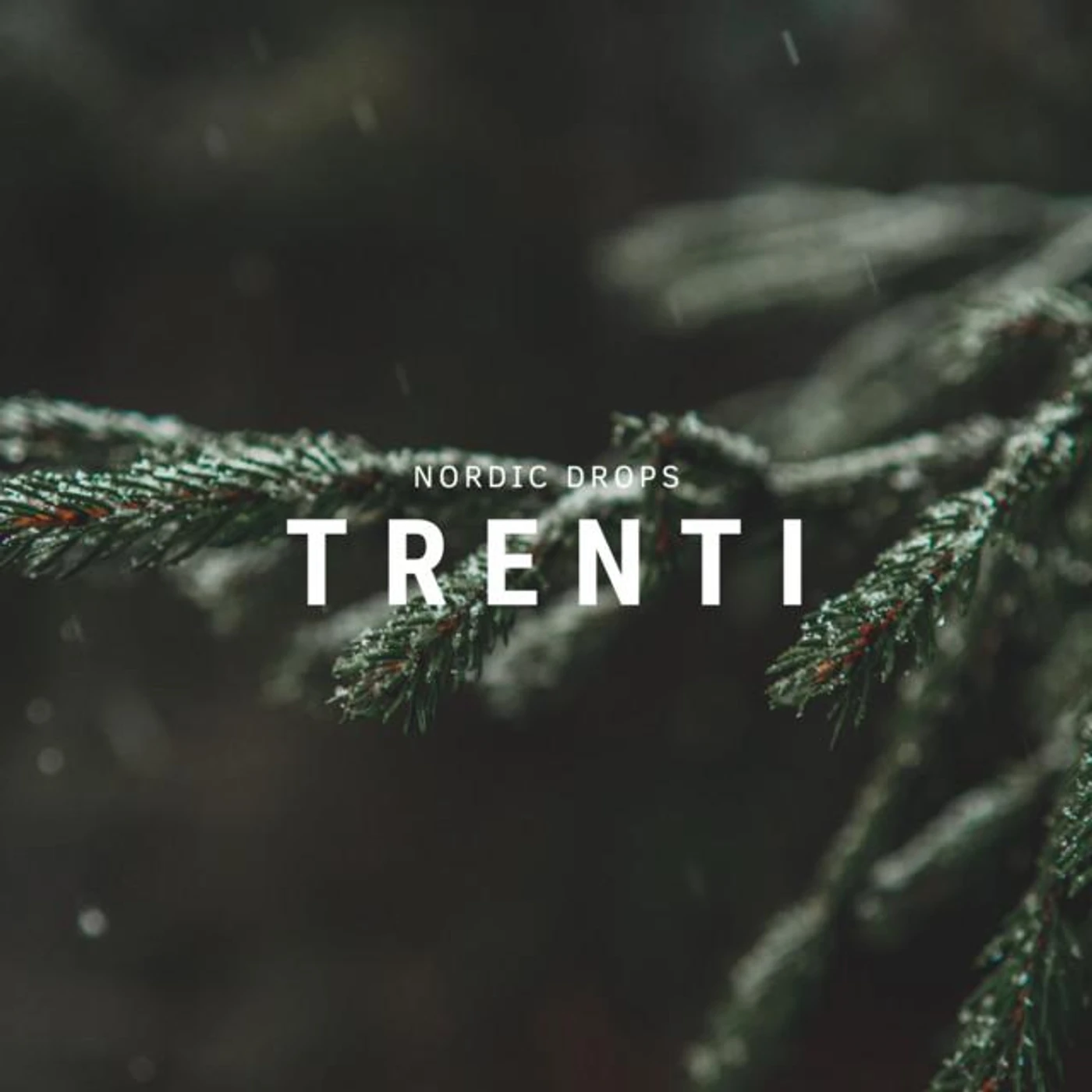 Trenti Brand Page