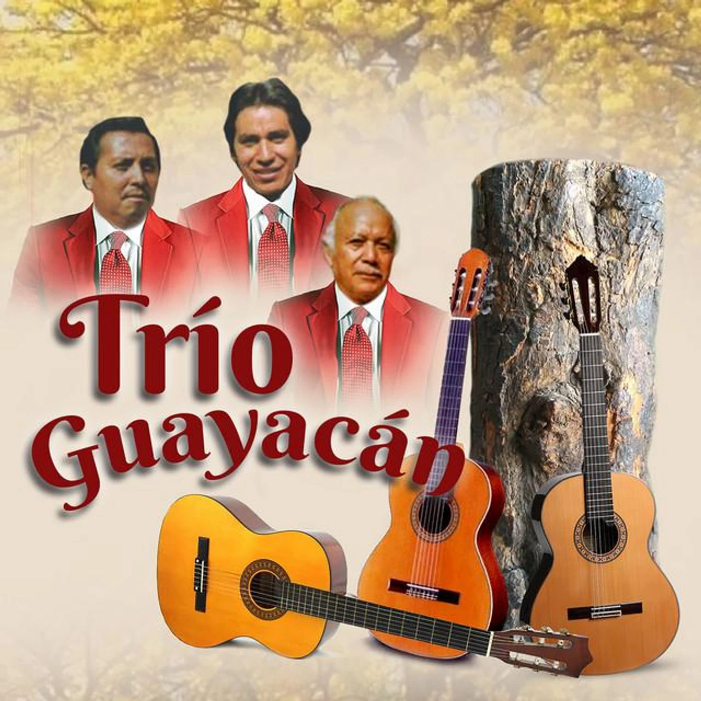 Trio Guayacan Brand Page