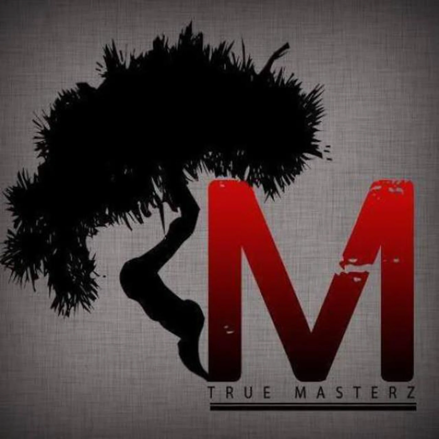 True Masterz Brand Page