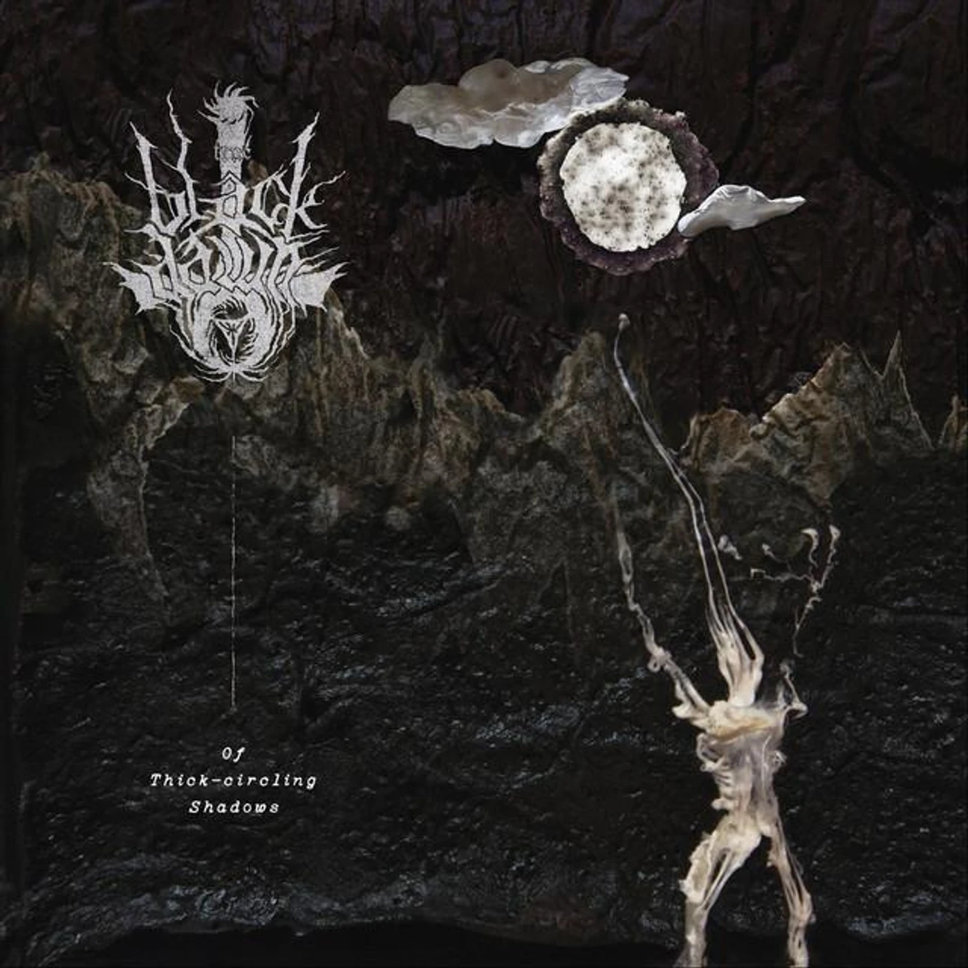 True Black Dawn Brand Page