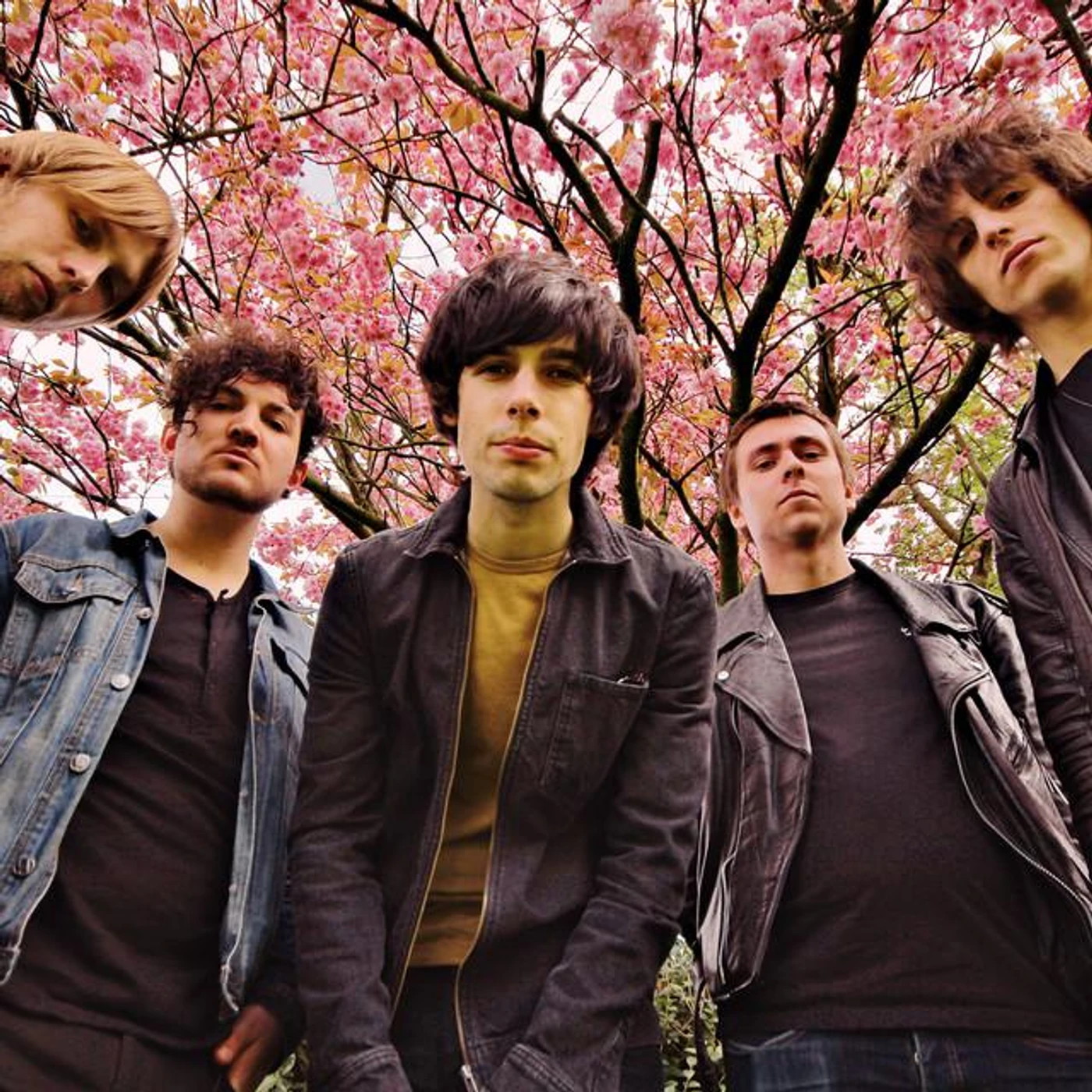 Two Weeks Running Brand Page