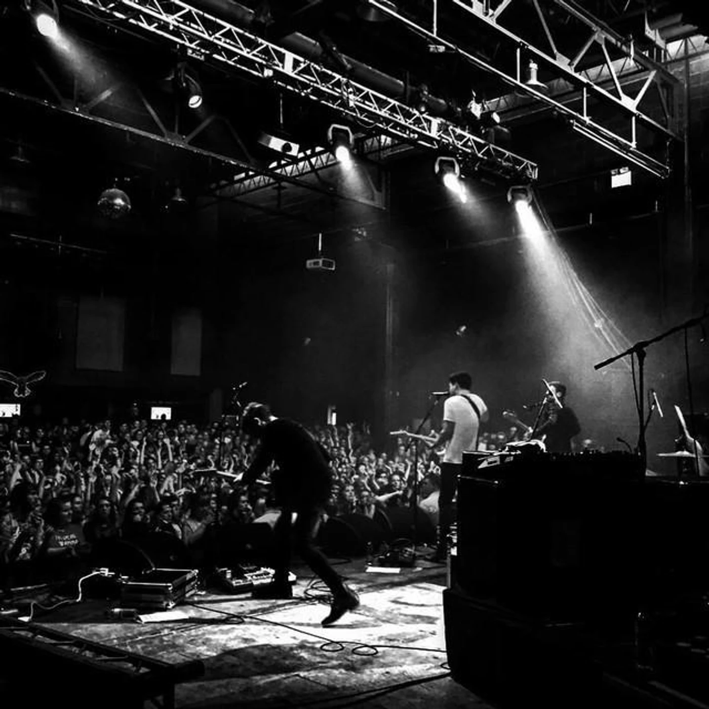 Twin Wild Brand Page